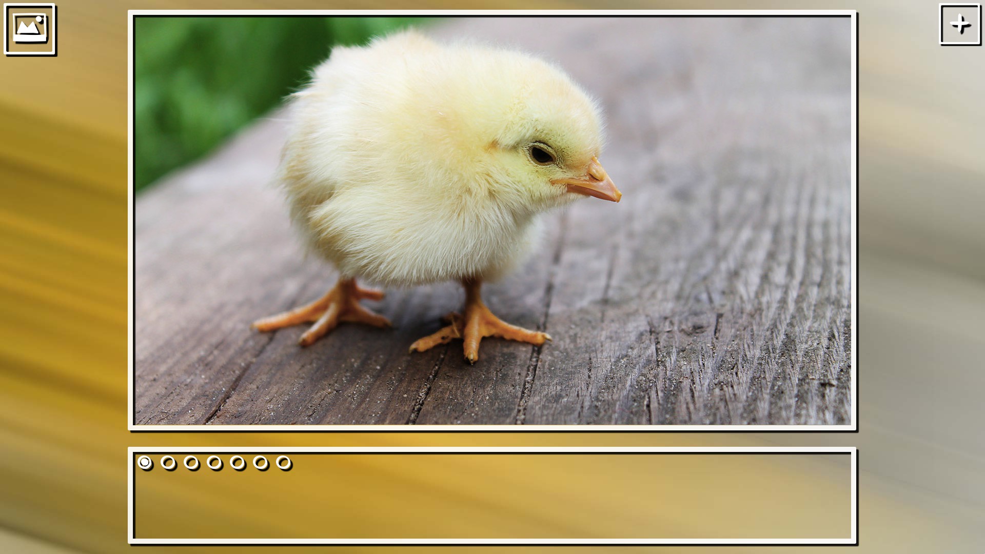 Super Jigsaw Puzzle: Generations - Birds Puzzles screenshot 3
