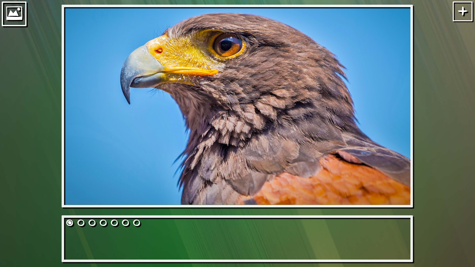Super Jigsaw Puzzle: Generations - Birds Puzzles screenshot 17