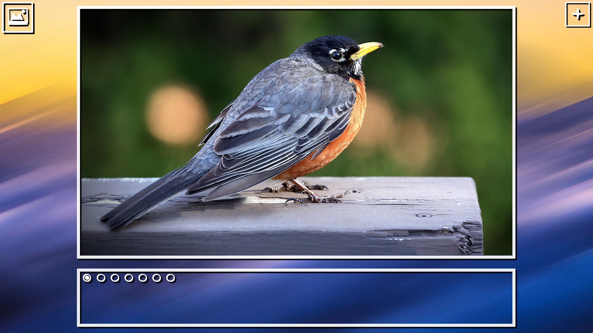 Super Jigsaw Puzzle: Generations - Birds Puzzles screenshot 11