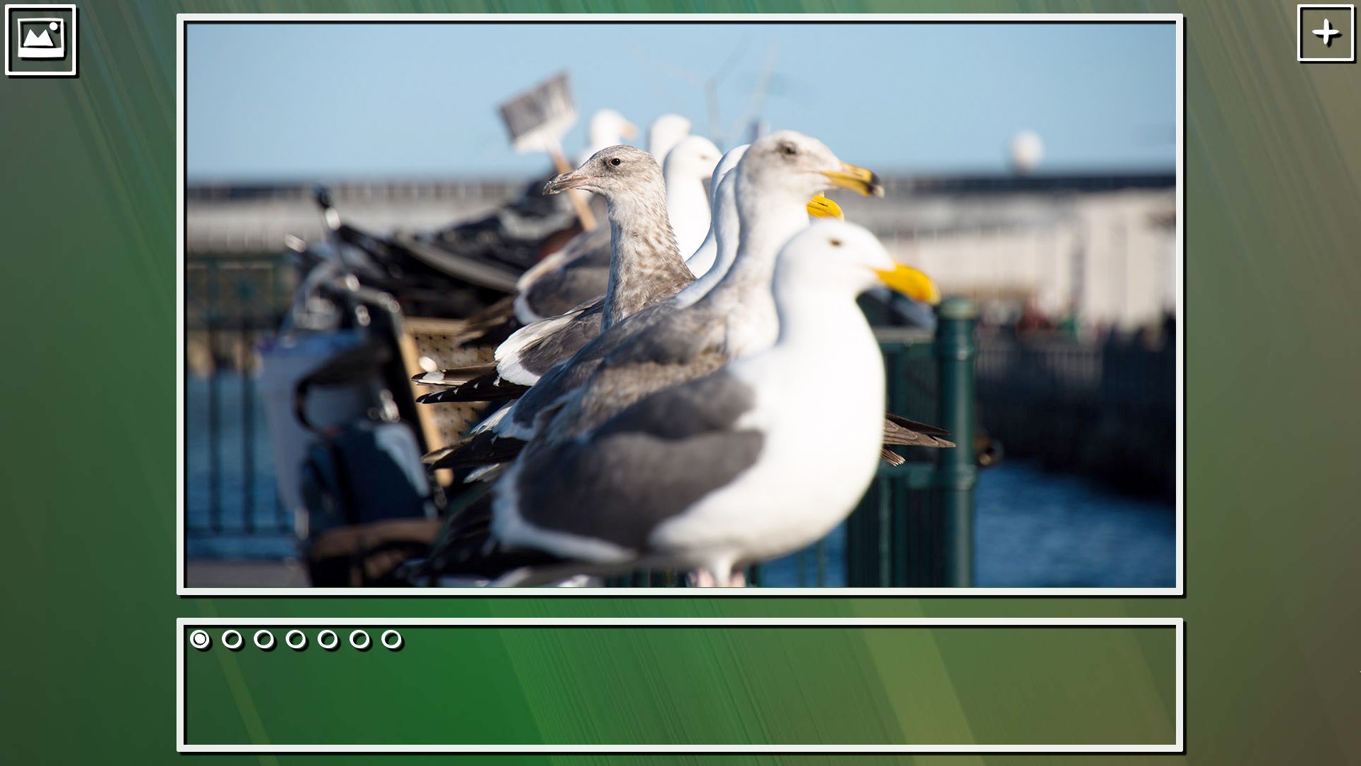 Super Jigsaw Puzzle: Generations - Birds Puzzles screenshot 5