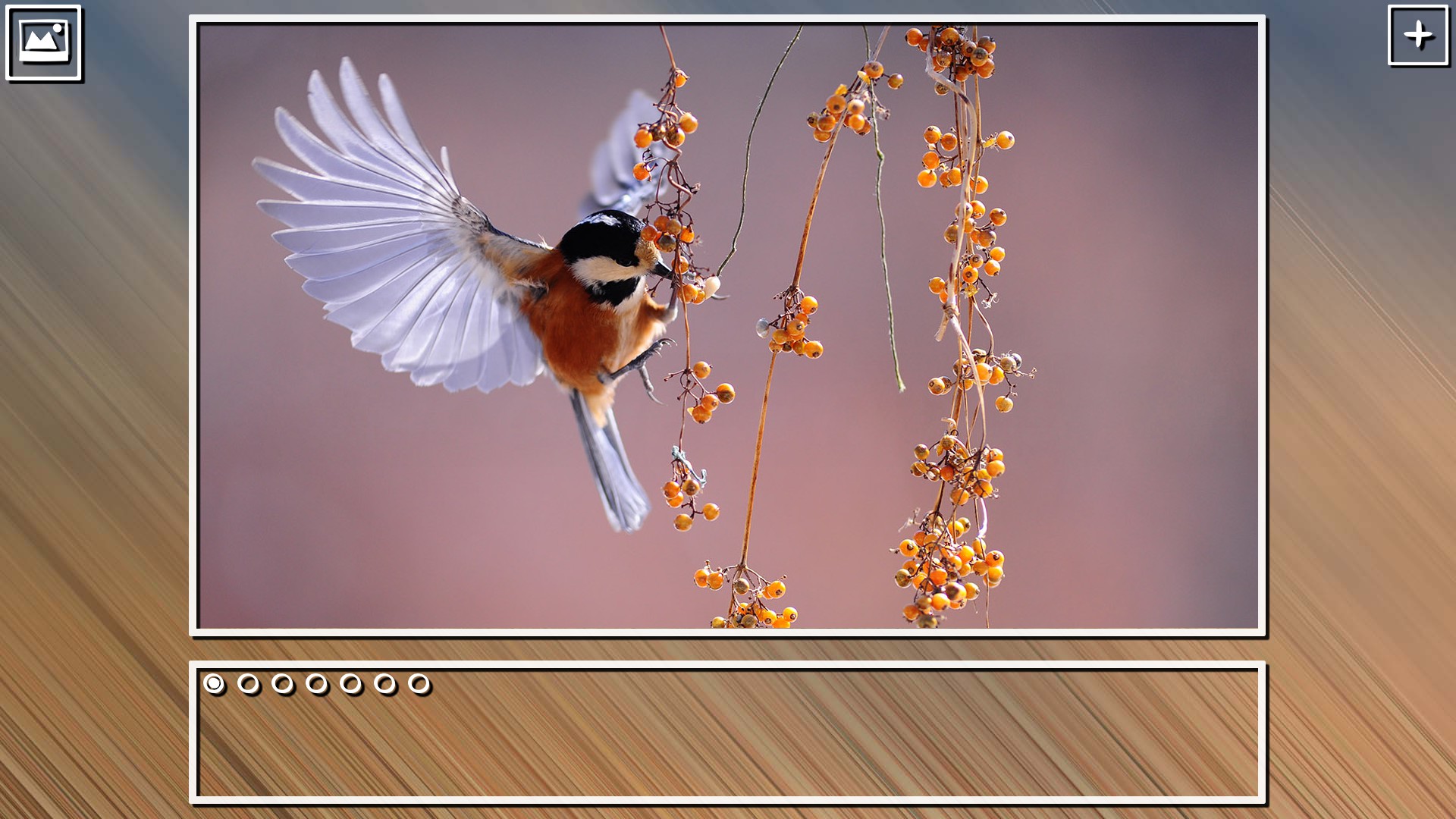 Super Jigsaw Puzzle: Generations - Birds Puzzles screenshot 15