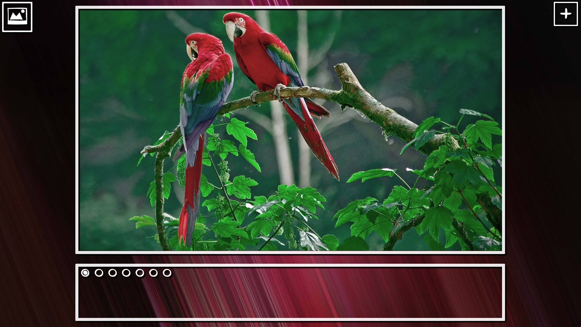 Super Jigsaw Puzzle: Generations - Birds Puzzles screenshot 6