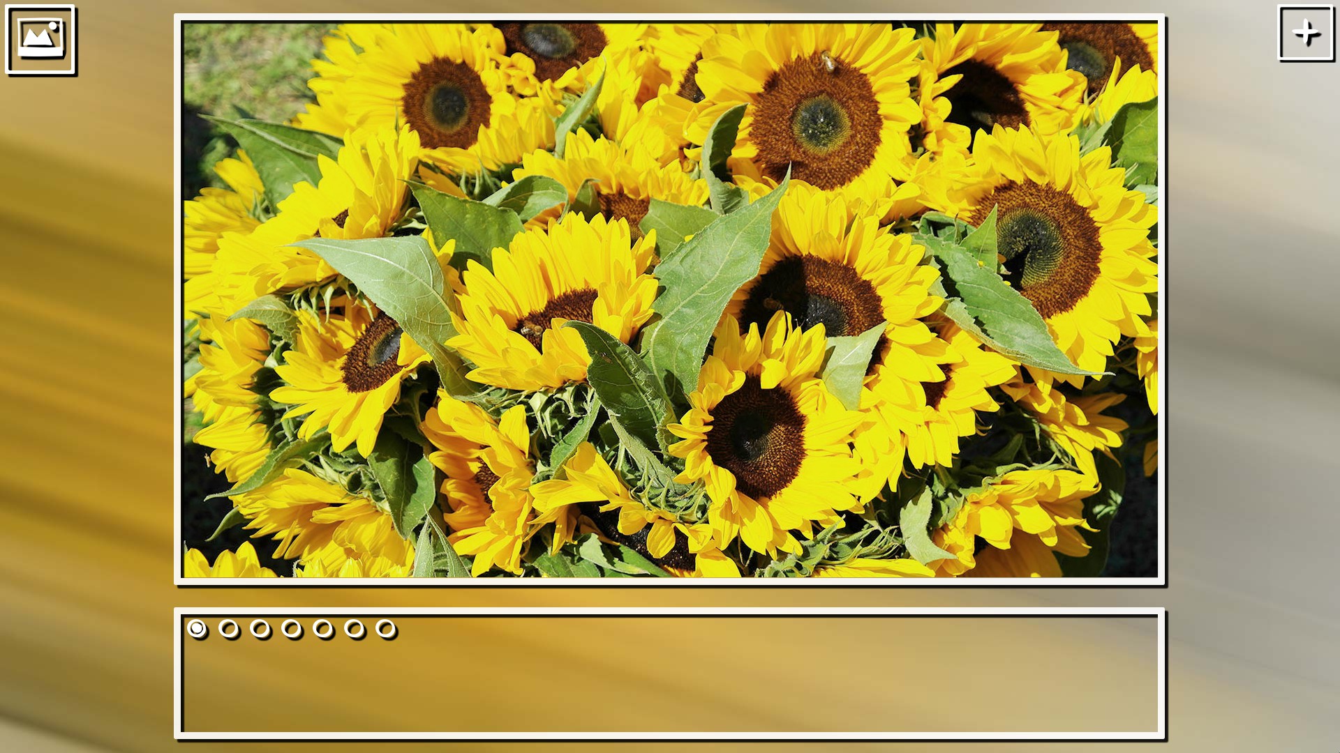 Super Jigsaw Puzzle: Generations - Random Puzzles screenshot 7