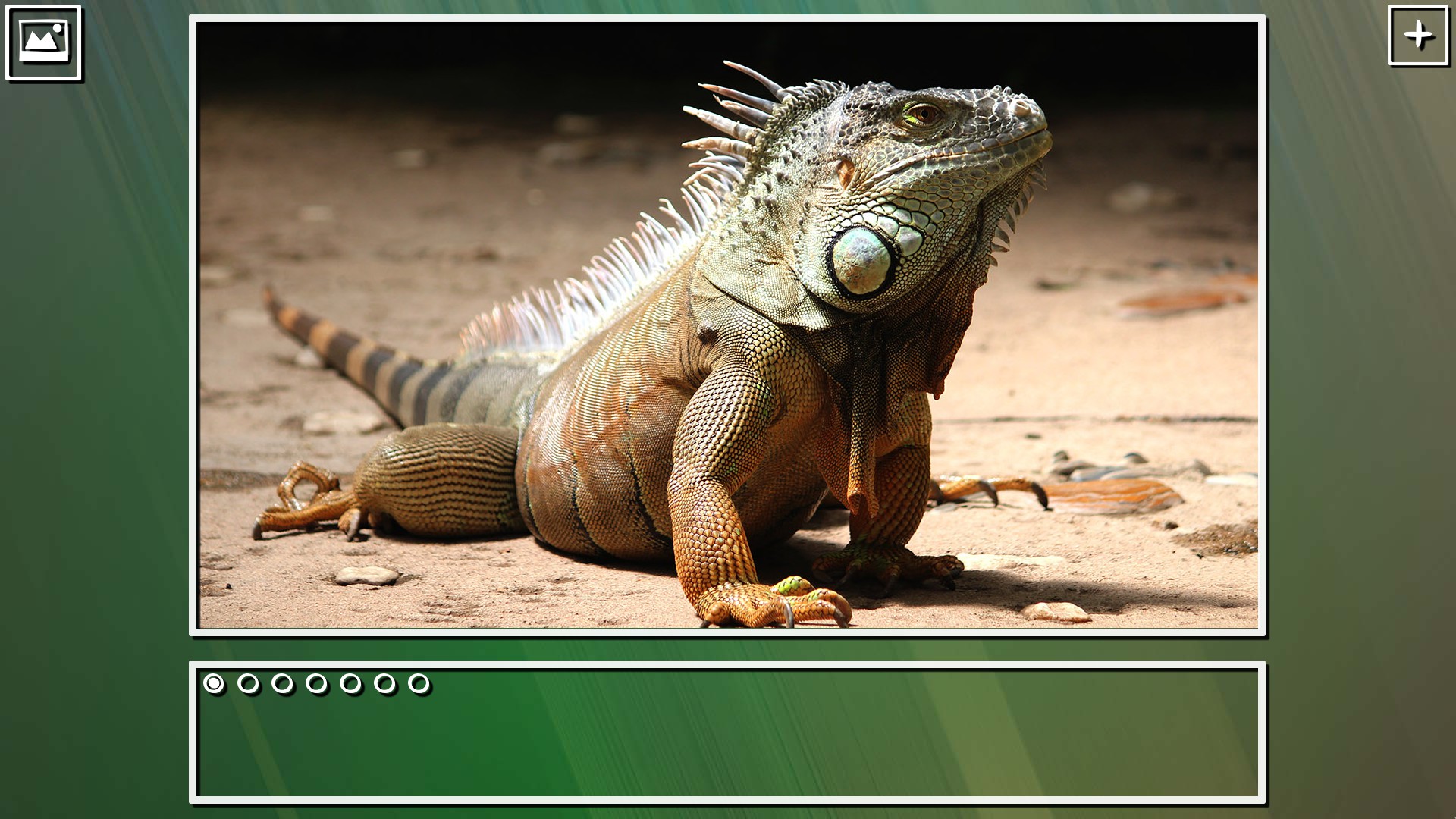Super Jigsaw Puzzle: Generations - Random Puzzles screenshot 21