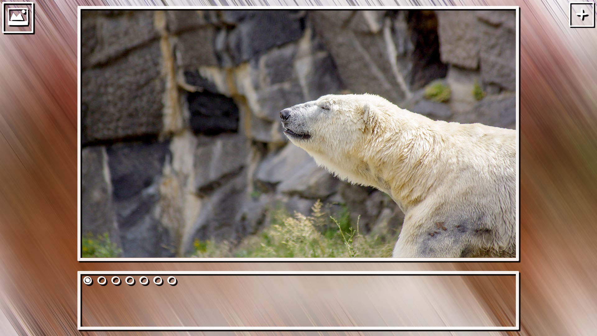 Super Jigsaw Puzzle: Generations - Random Puzzles screenshot 9