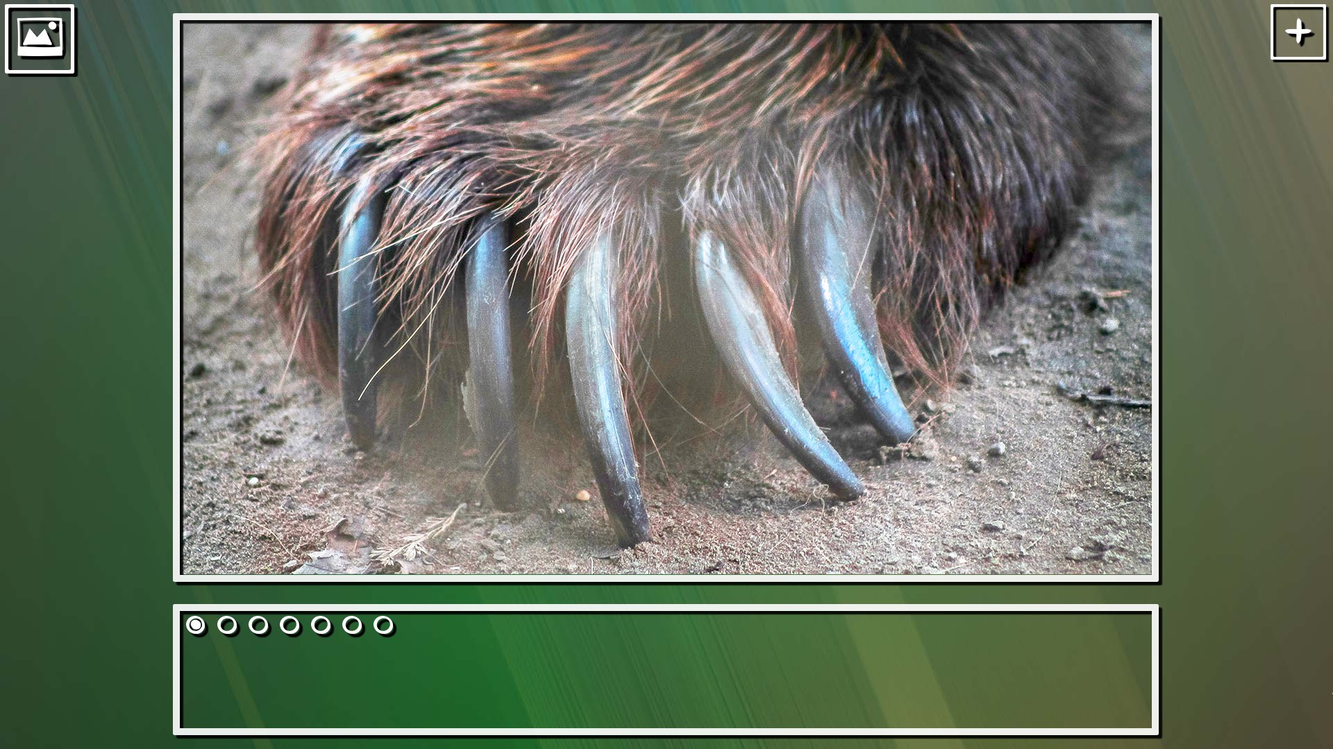 Super Jigsaw Puzzle: Generations - Bears Puzzles screenshot 5