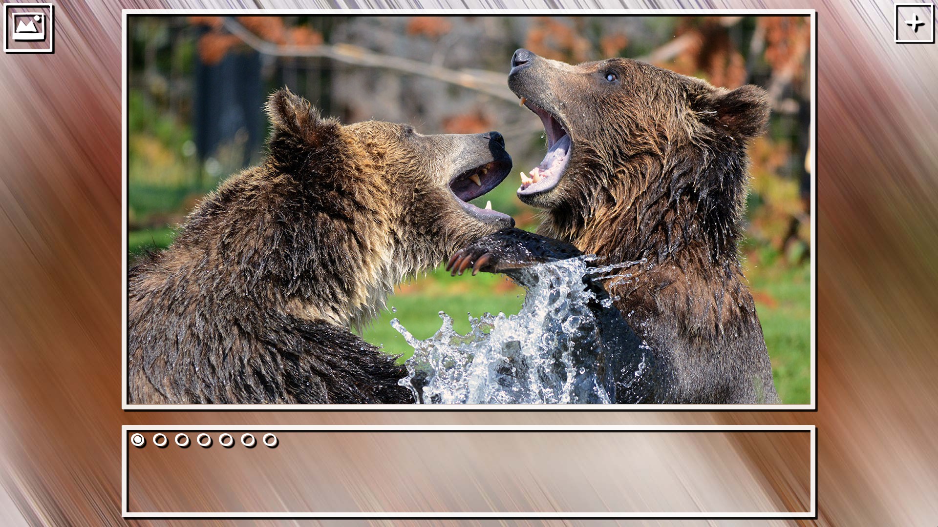 Super Jigsaw Puzzle: Generations - Bears Puzzles screenshot 13