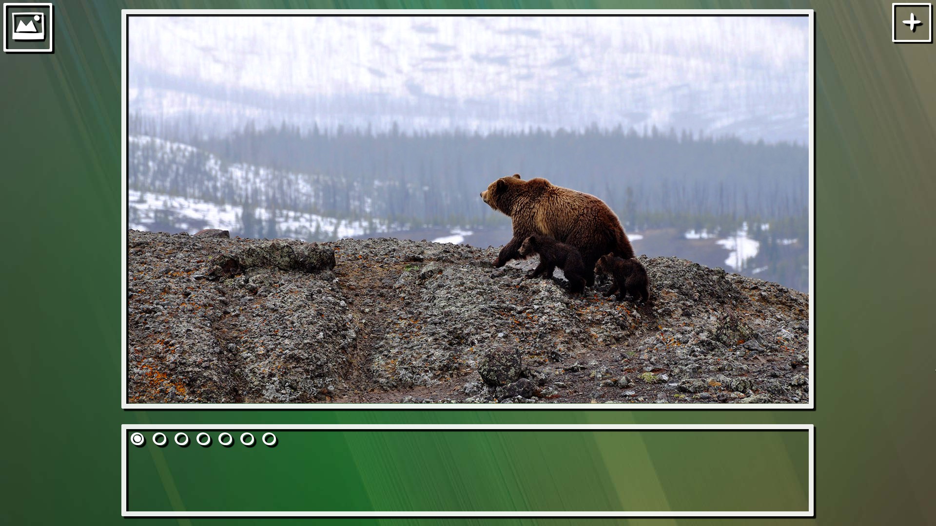 Super Jigsaw Puzzle: Generations - Bears Puzzles screenshot 4