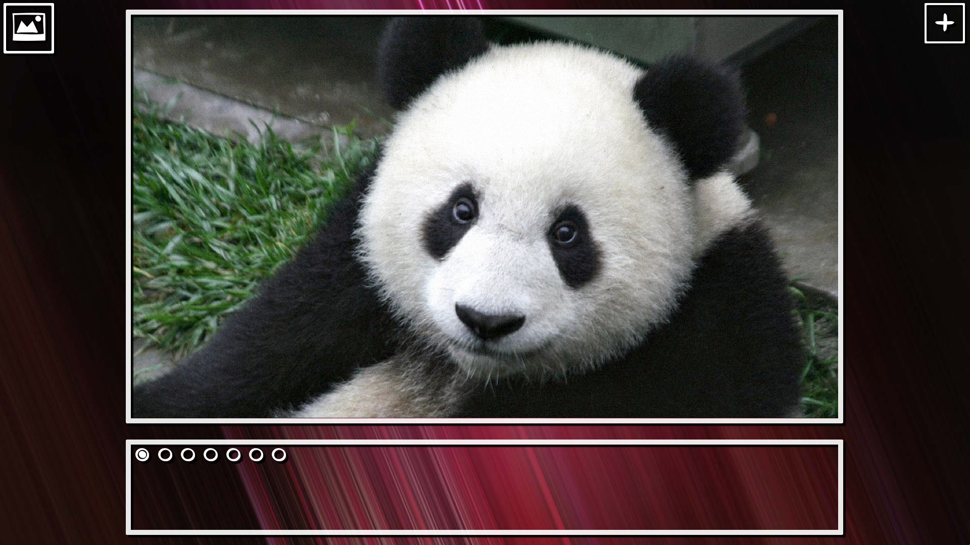 Super Jigsaw Puzzle: Generations - Bears Puzzles screenshot 6