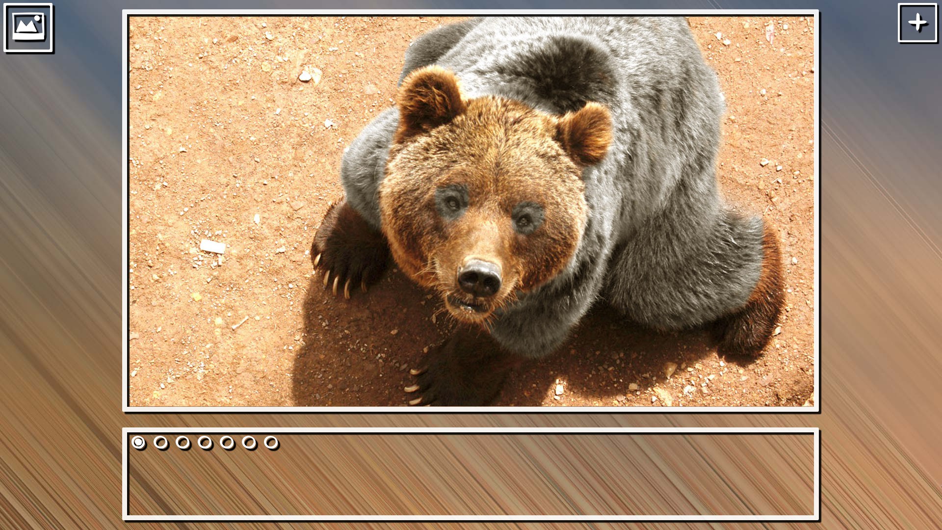 Super Jigsaw Puzzle: Generations - Bears Puzzles screenshot 15