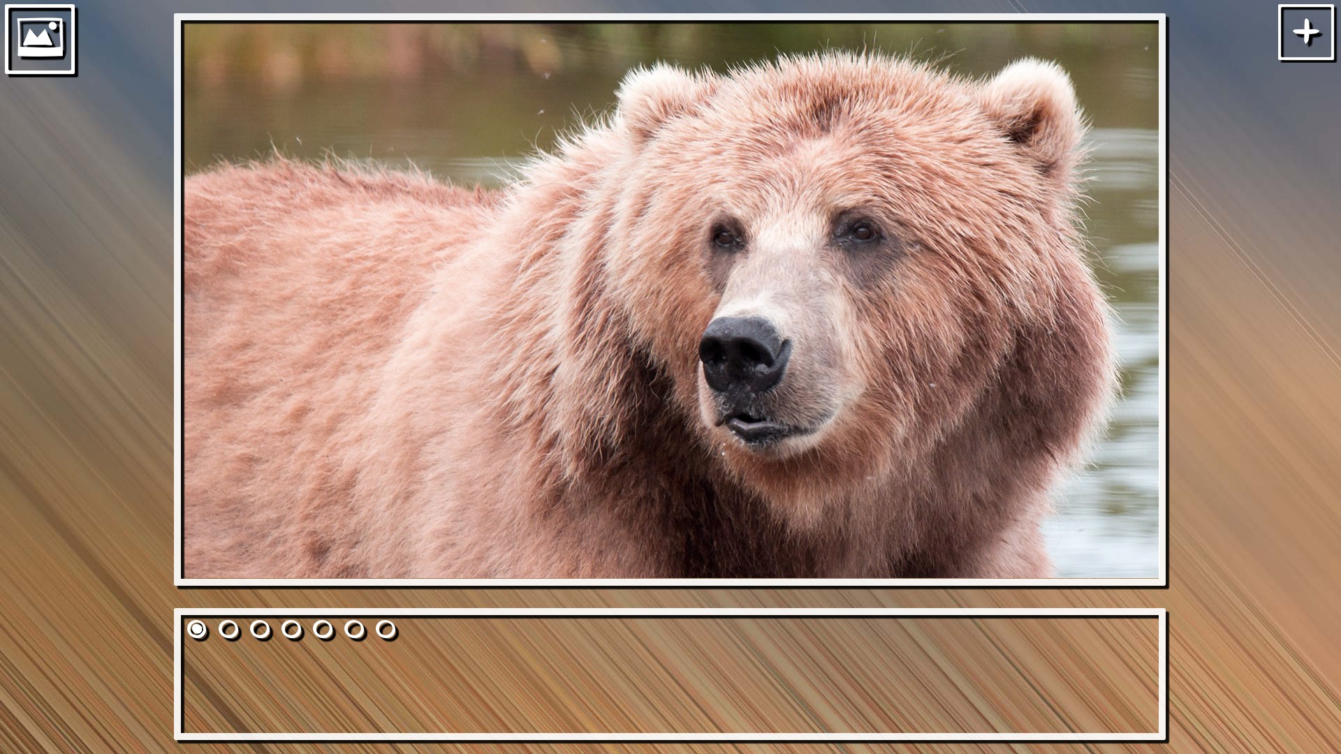 Super Jigsaw Puzzle: Generations - Bears Puzzles screenshot 11