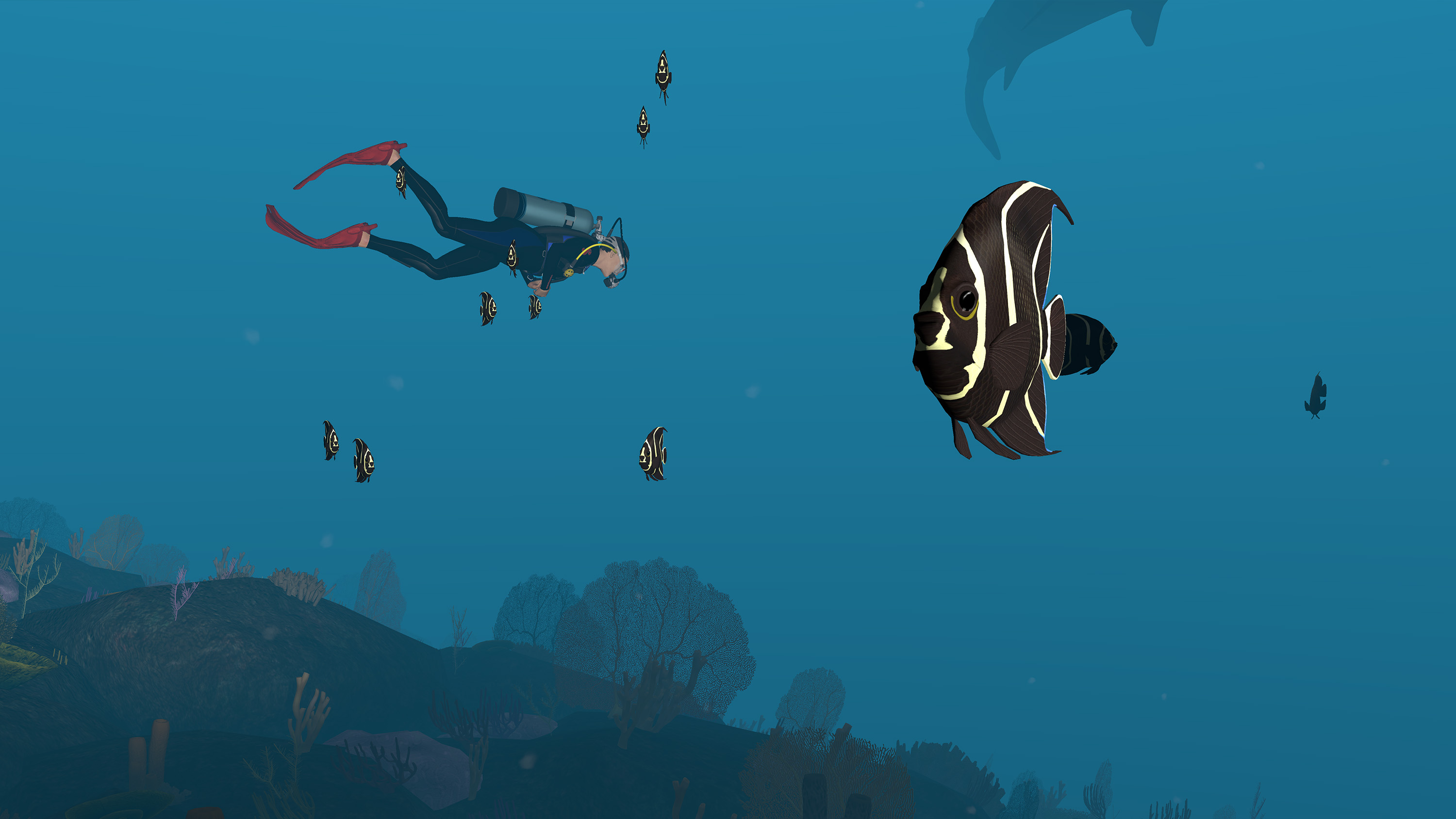 Dive with Sylvia VR screenshot 4