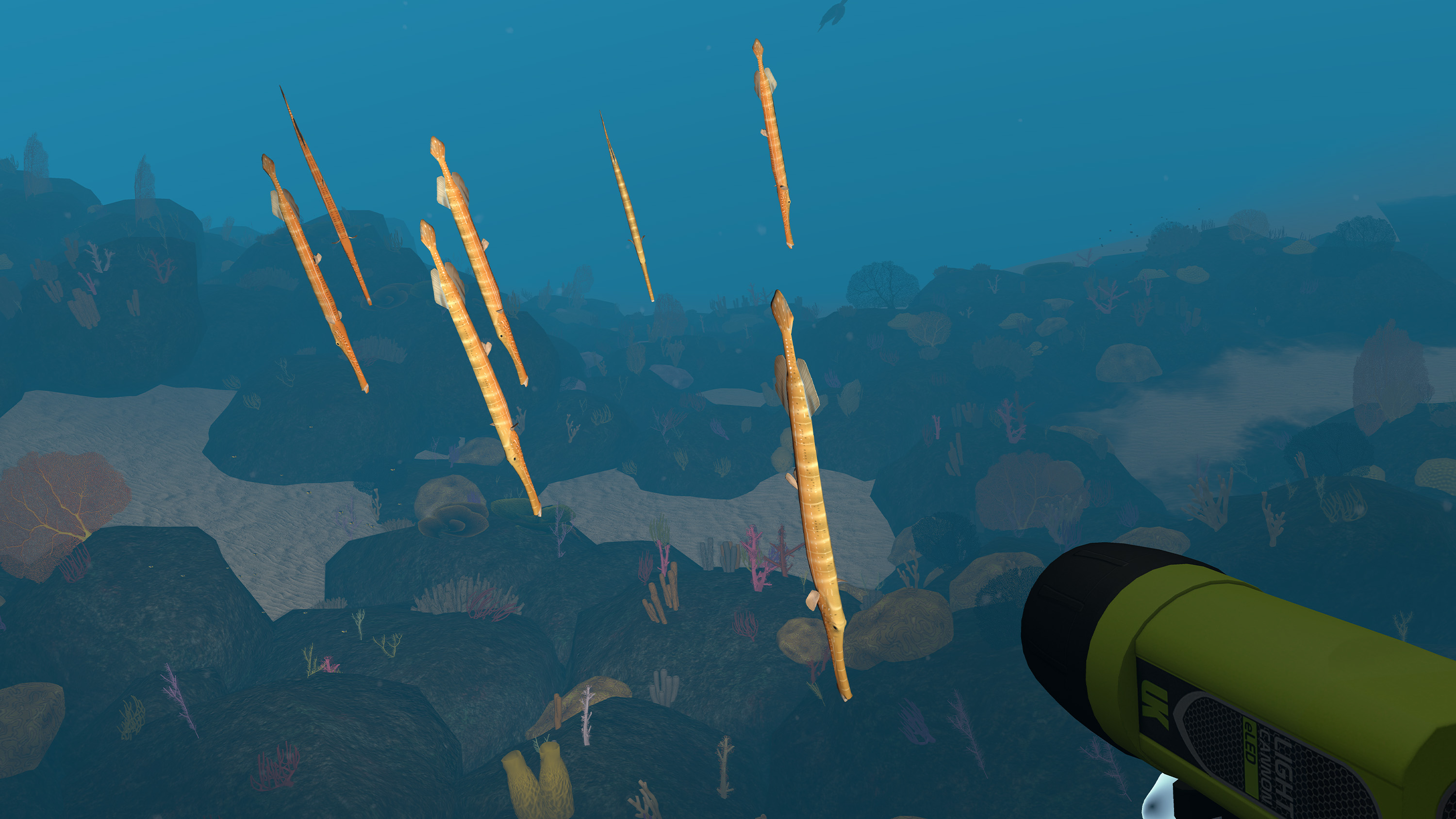Dive with Sylvia VR screenshot 7