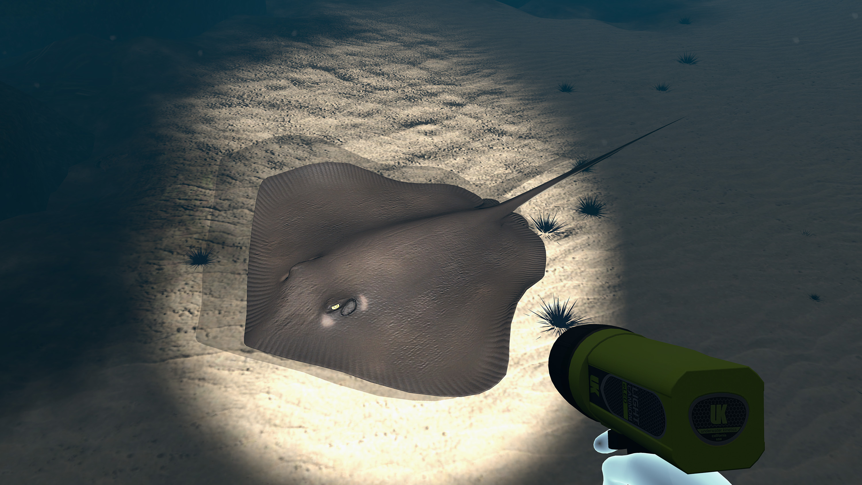 Dive with Sylvia VR screenshot 10