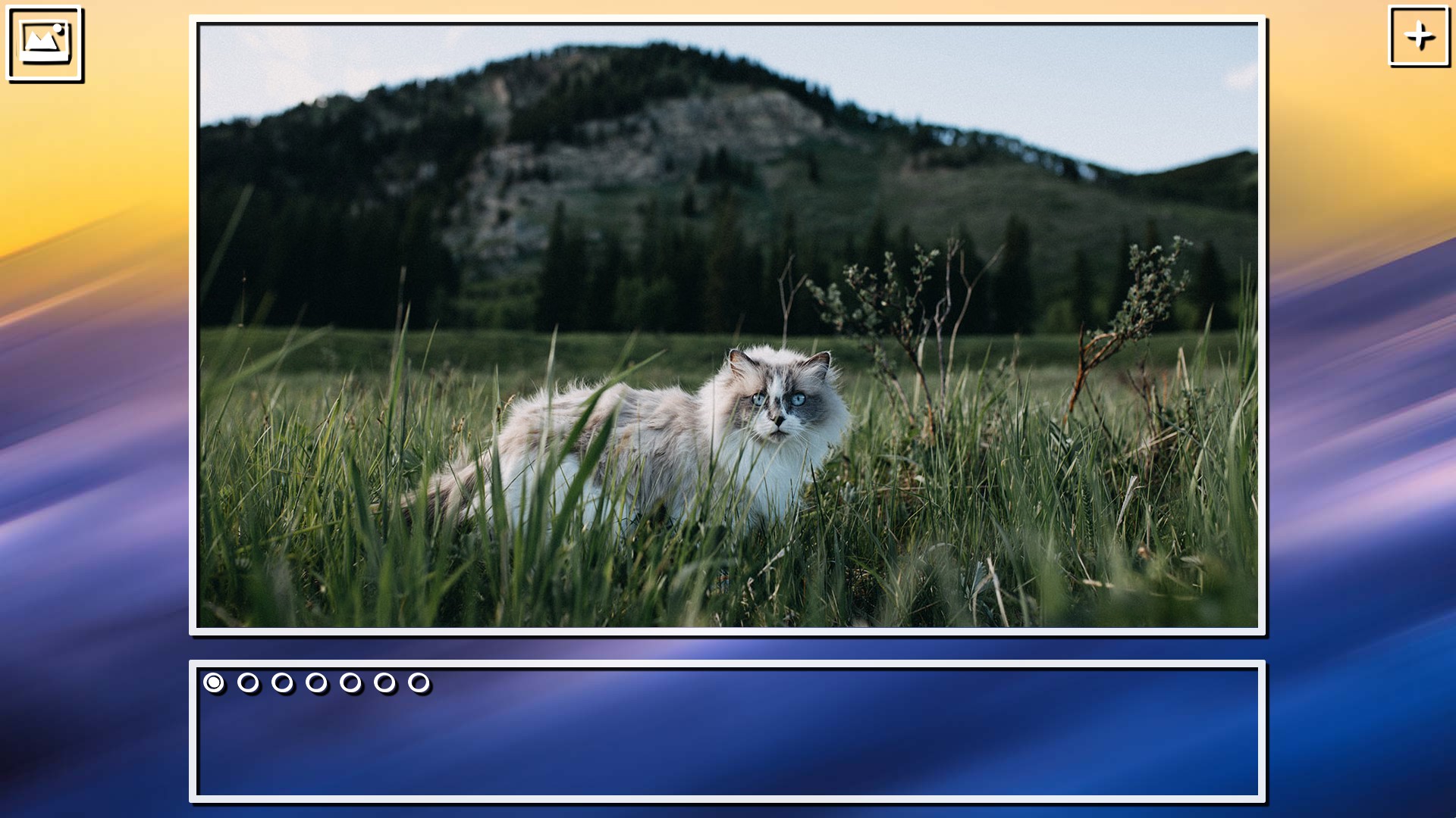 Super Jigsaw Puzzle: Generations - Cats Puzzles screenshot 15