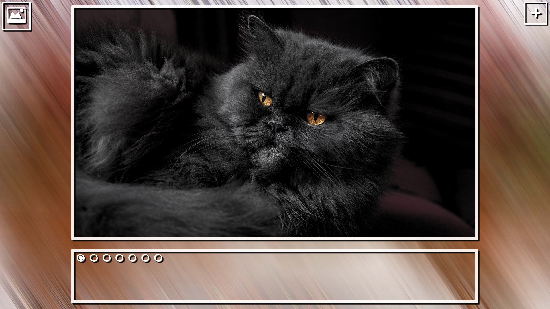 Super Jigsaw Puzzle: Generations - Cats Puzzles screenshot 2