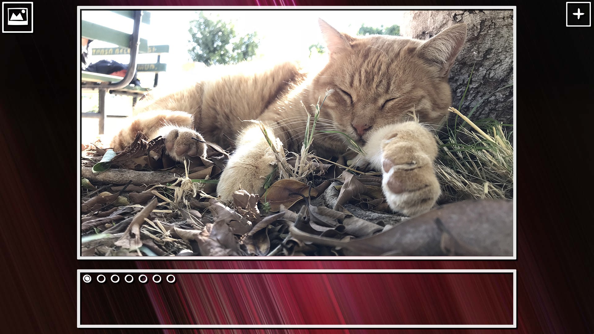 Super Jigsaw Puzzle: Generations - Cats Puzzles screenshot 12