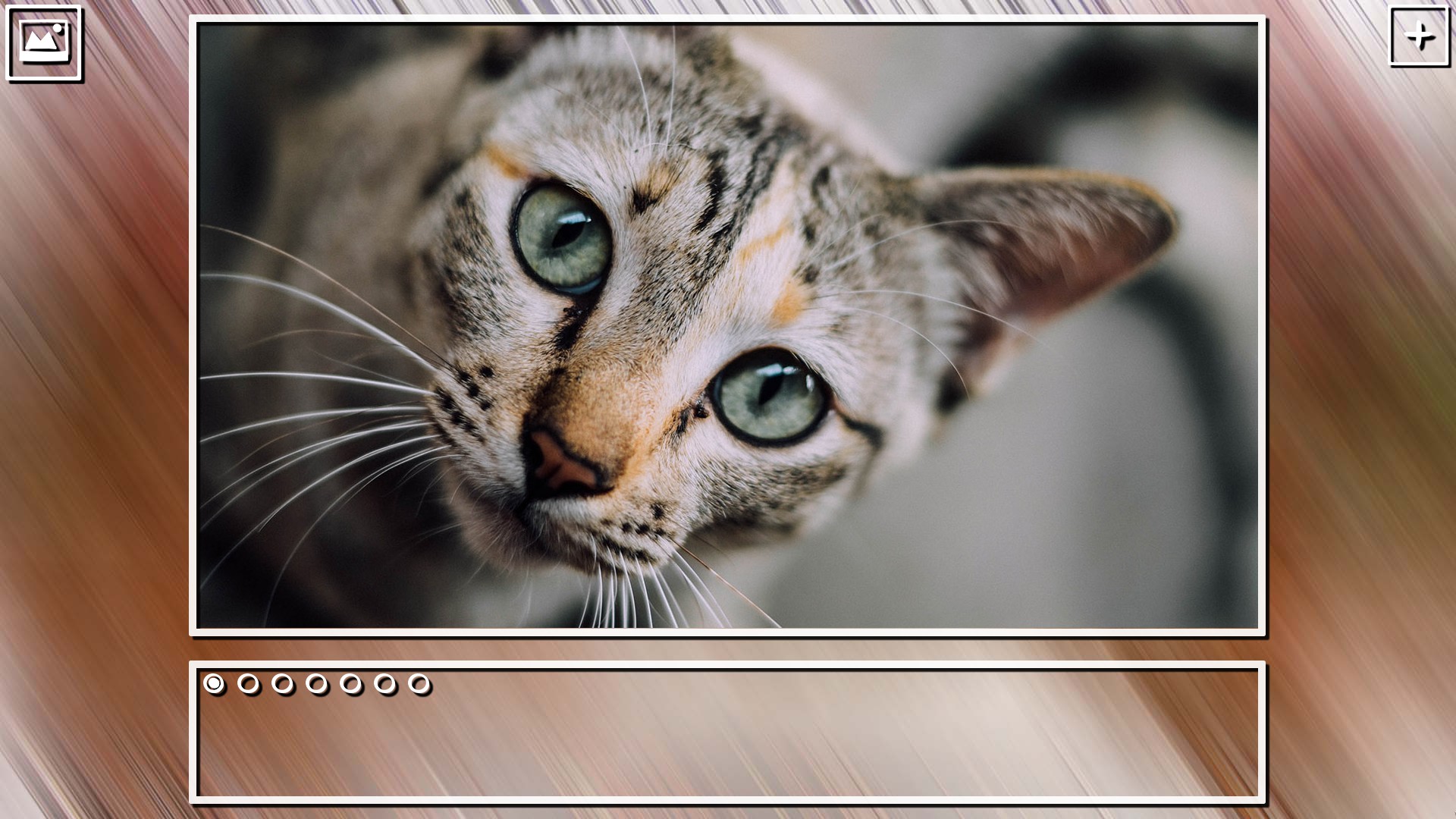 Super Jigsaw Puzzle: Generations - Cats Puzzles screenshot 16