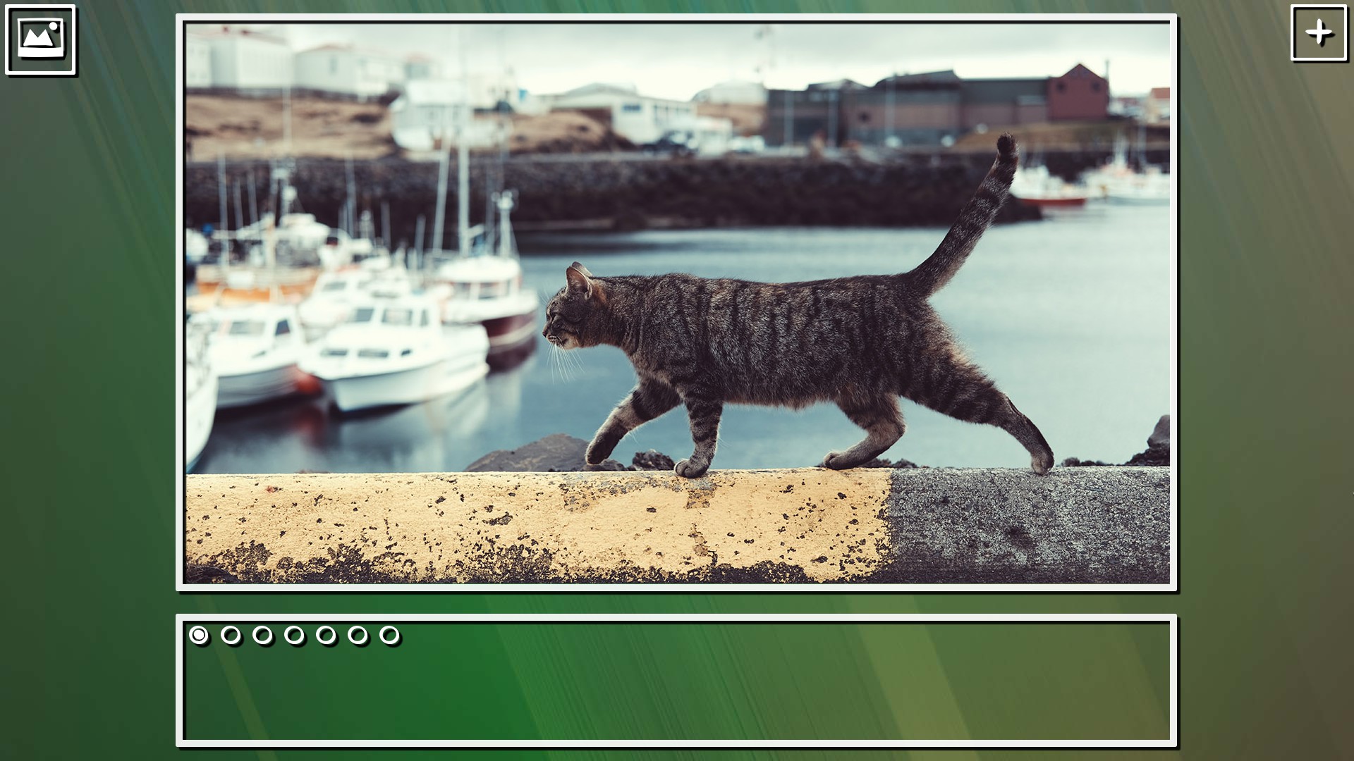 Super Jigsaw Puzzle: Generations - Cats Puzzles screenshot 10