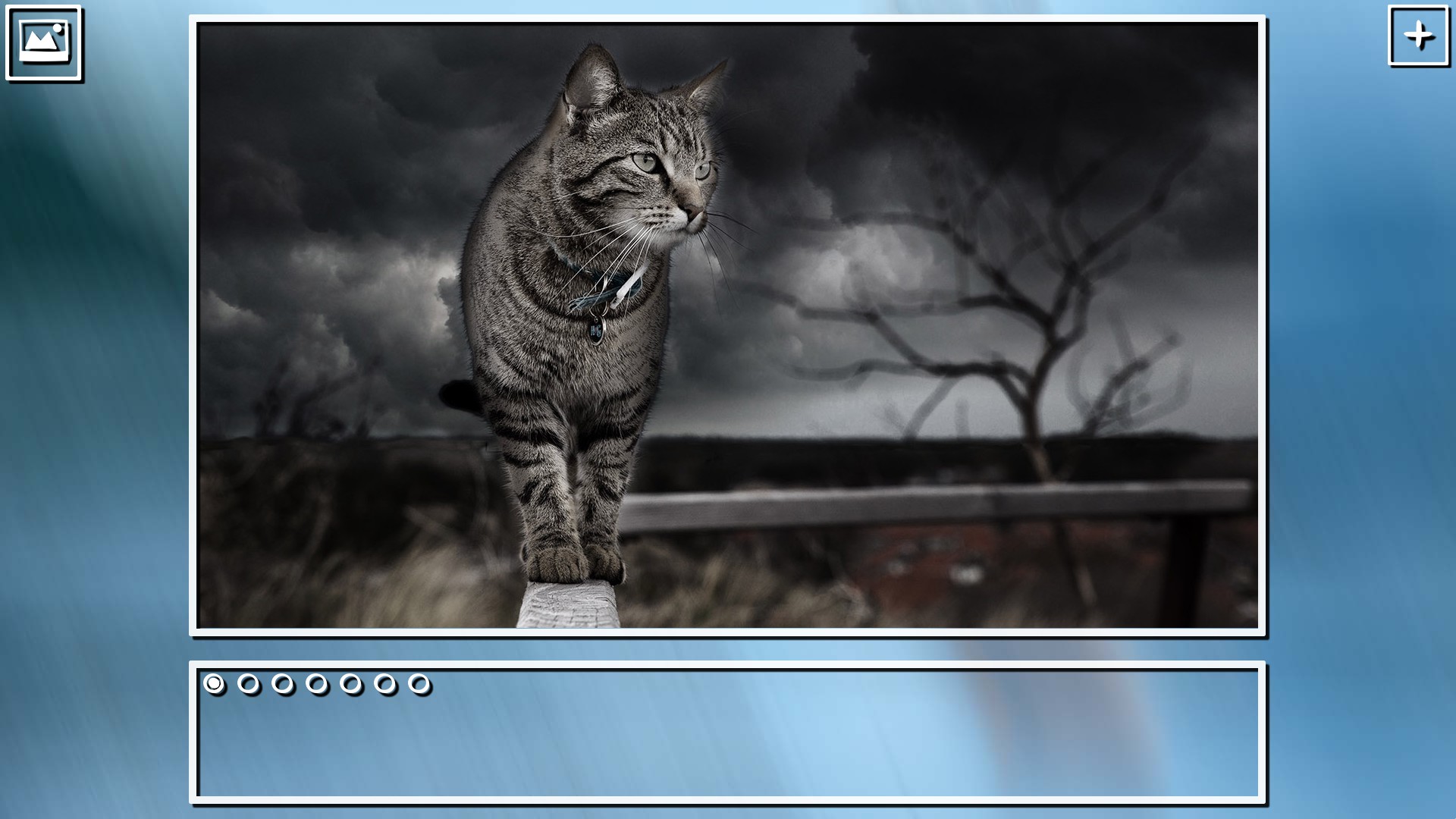 Super Jigsaw Puzzle: Generations - Cats Puzzles screenshot 13