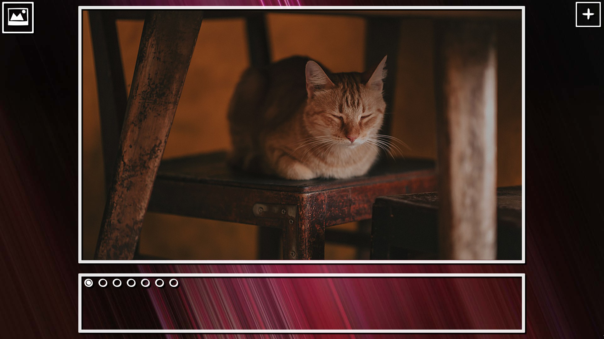 Super Jigsaw Puzzle: Generations - Cats Puzzles screenshot 11