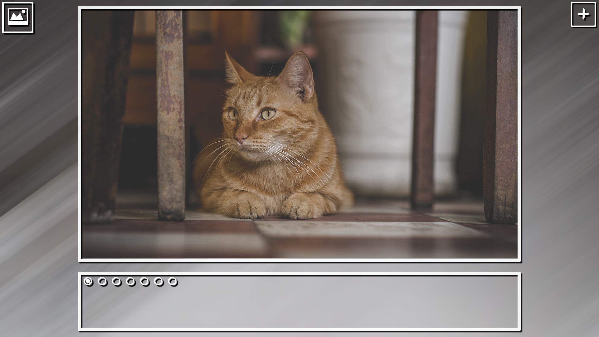 Super Jigsaw Puzzle: Generations - Cats Puzzles screenshot 6