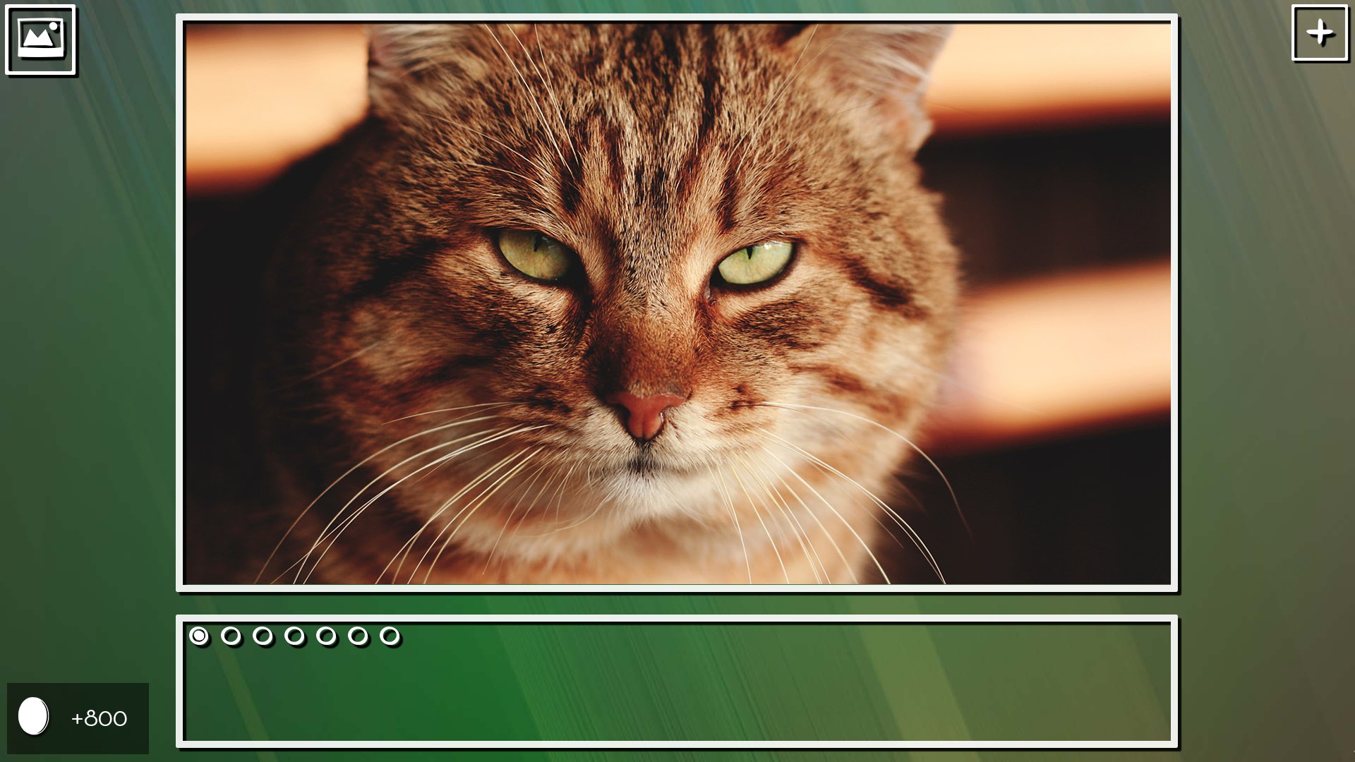 Super Jigsaw Puzzle: Generations - Cats Puzzles screenshot 9
