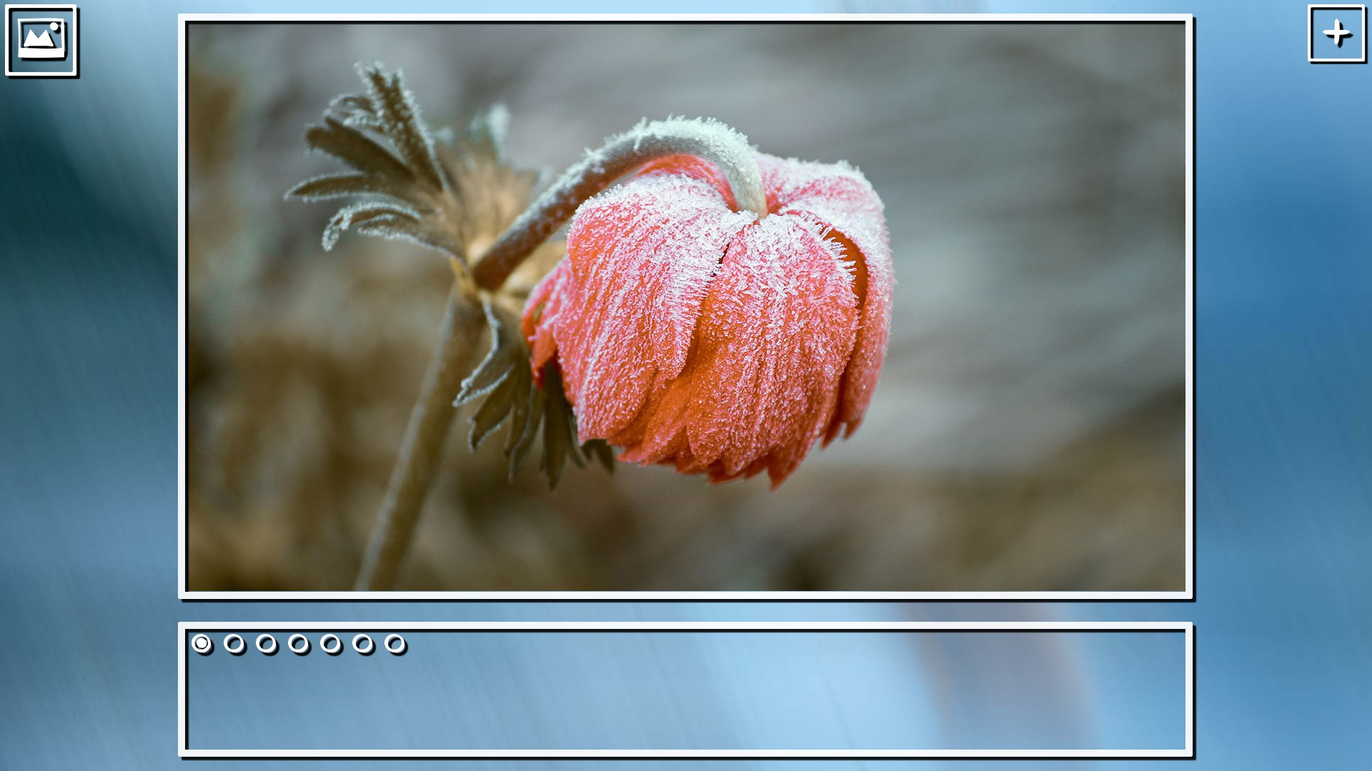 Super Jigsaw Puzzle: Generations - Winter Puzzles screenshot 3