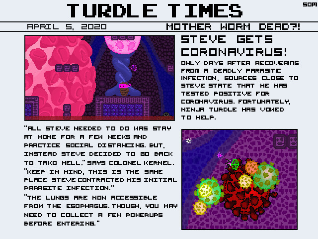 Ninja Turdle screenshot 1