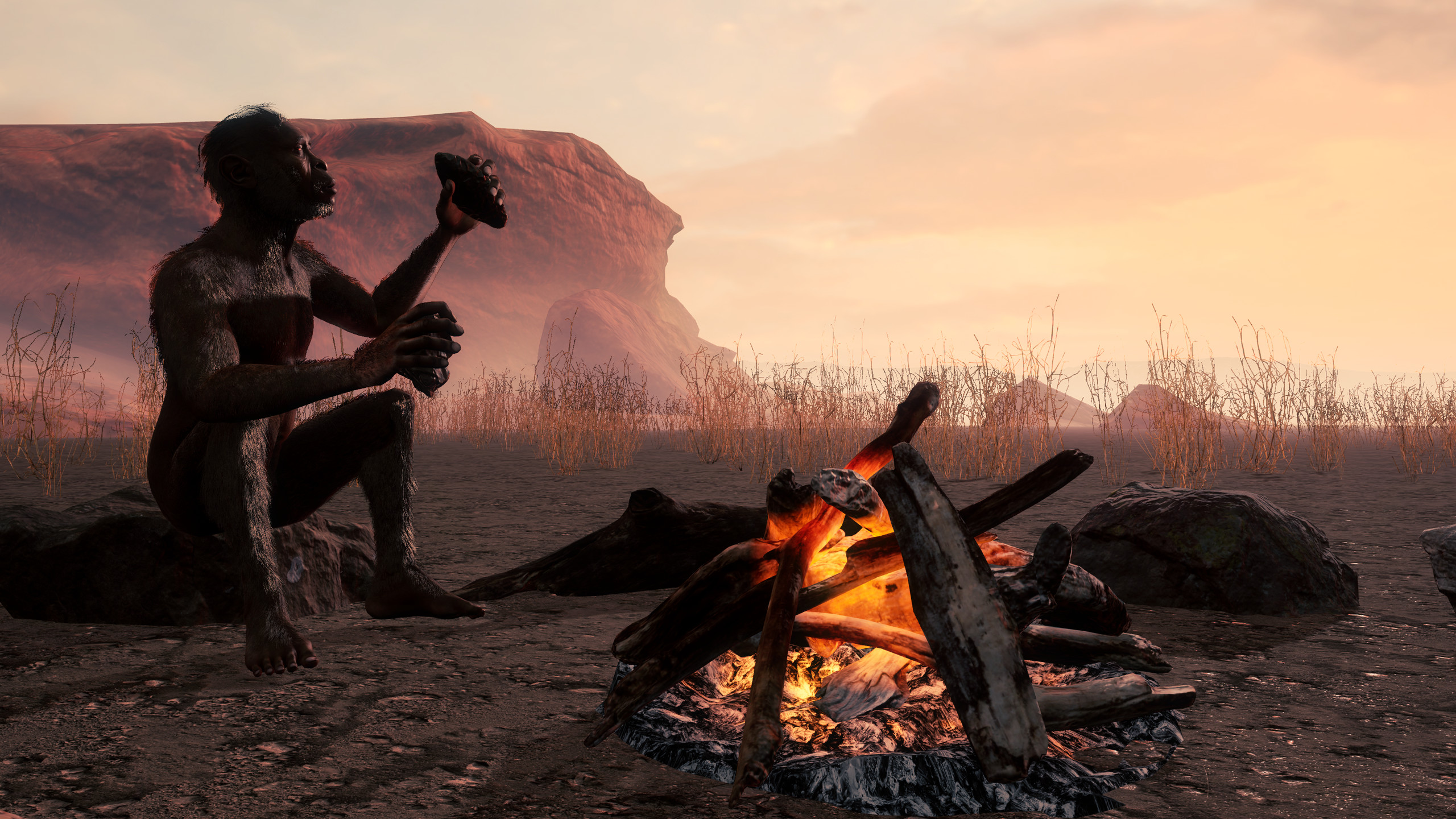 Oika screenshot 3