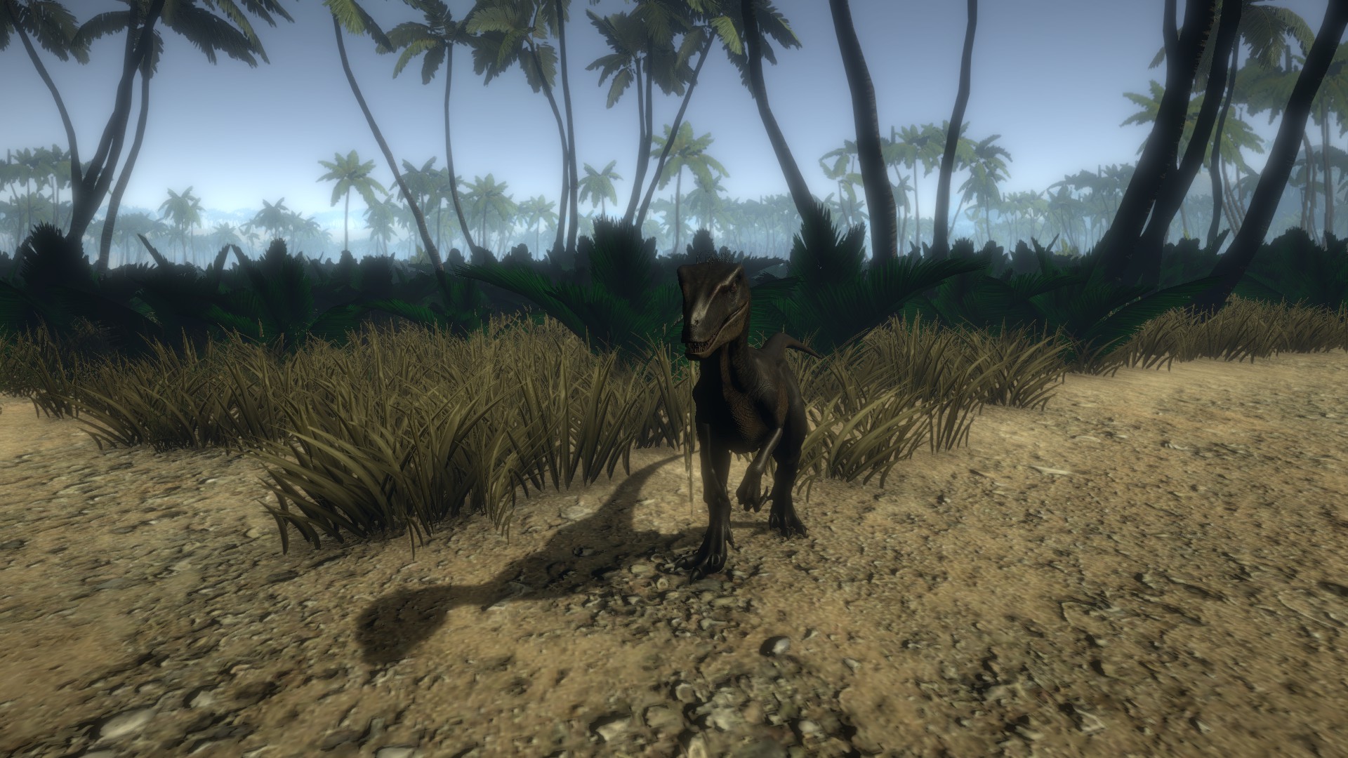 Island 1979 screenshot 7