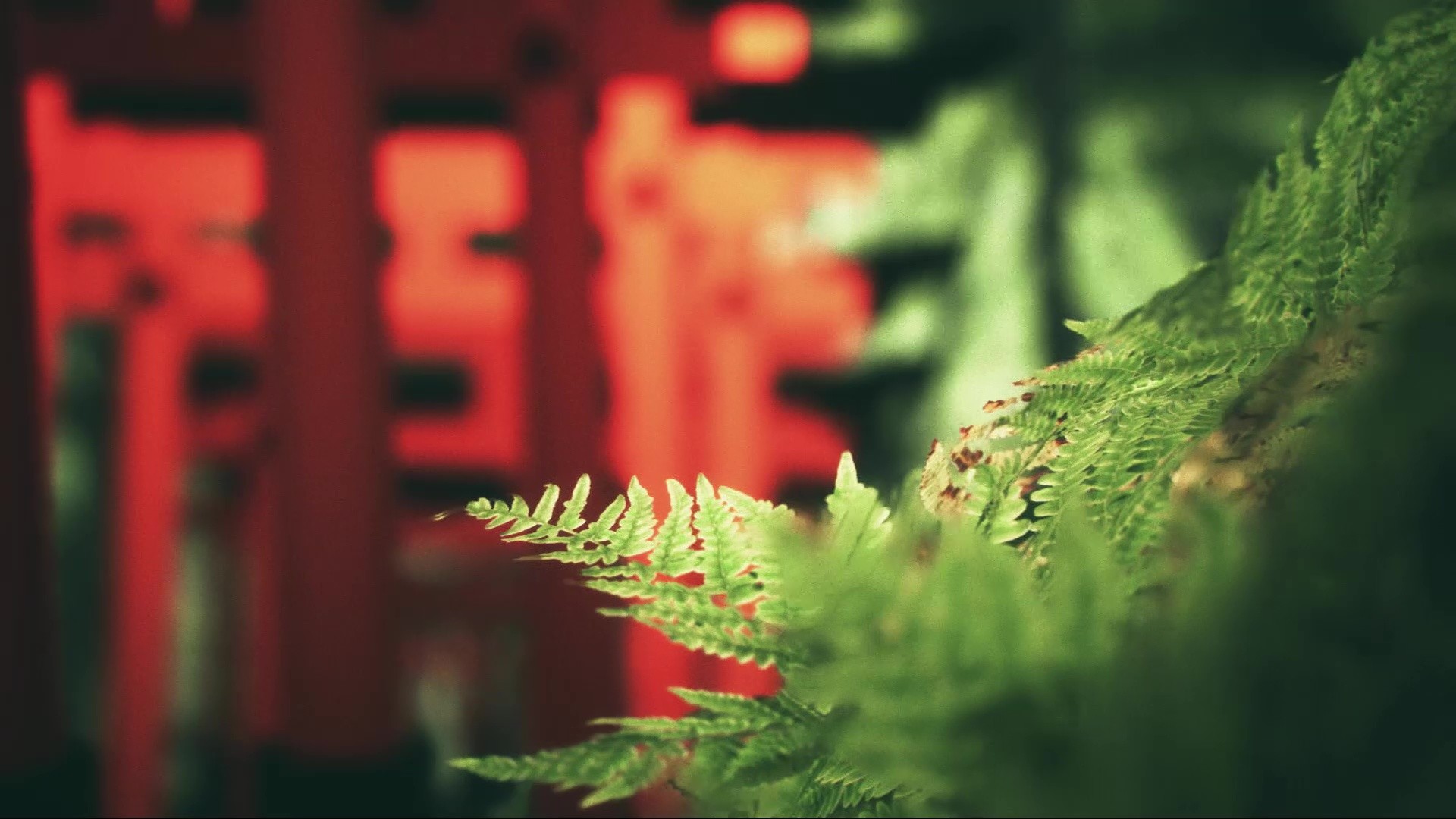 Explore Fushimi Inari VR screenshot 3