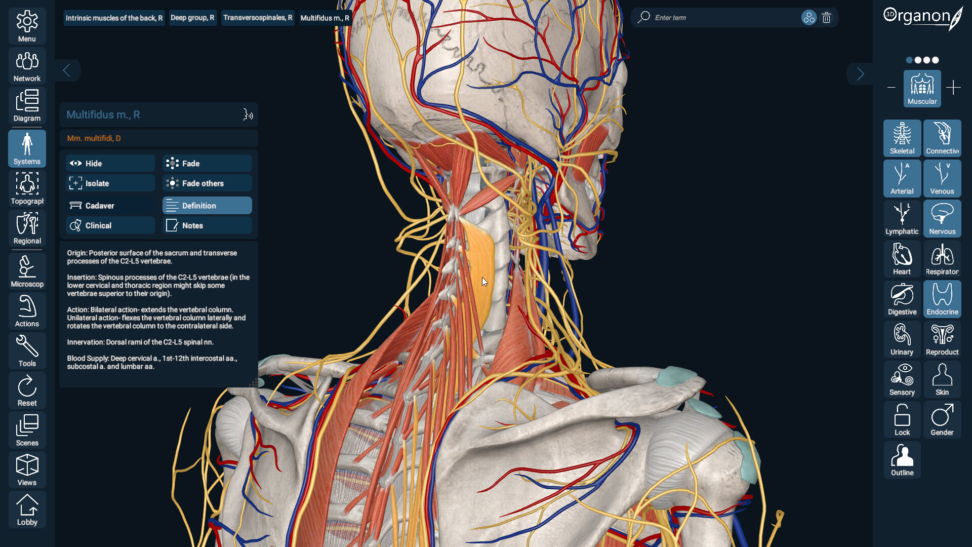 3D Organon screenshot 3