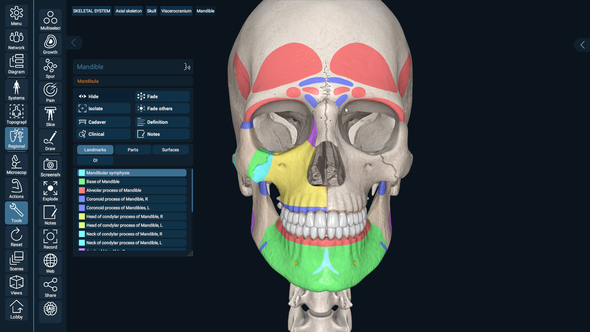 3D Organon screenshot 12