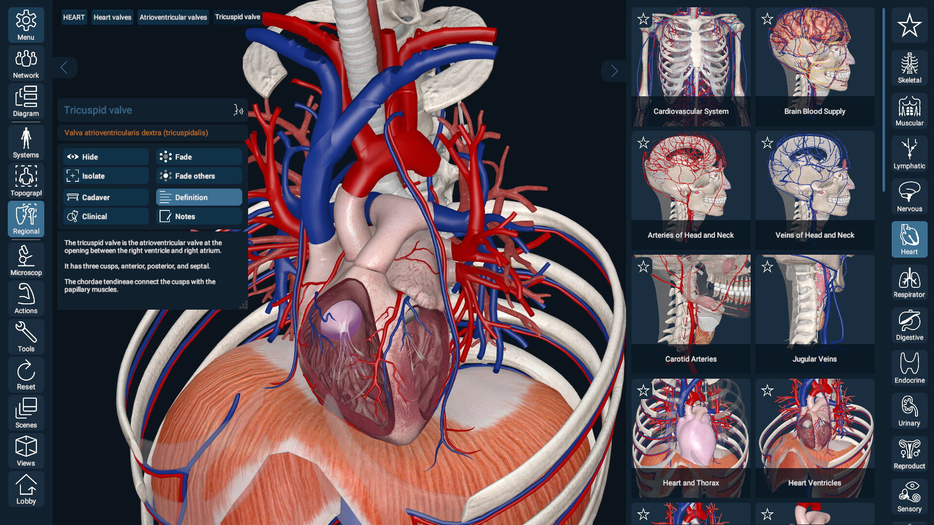 3D Organon screenshot 1