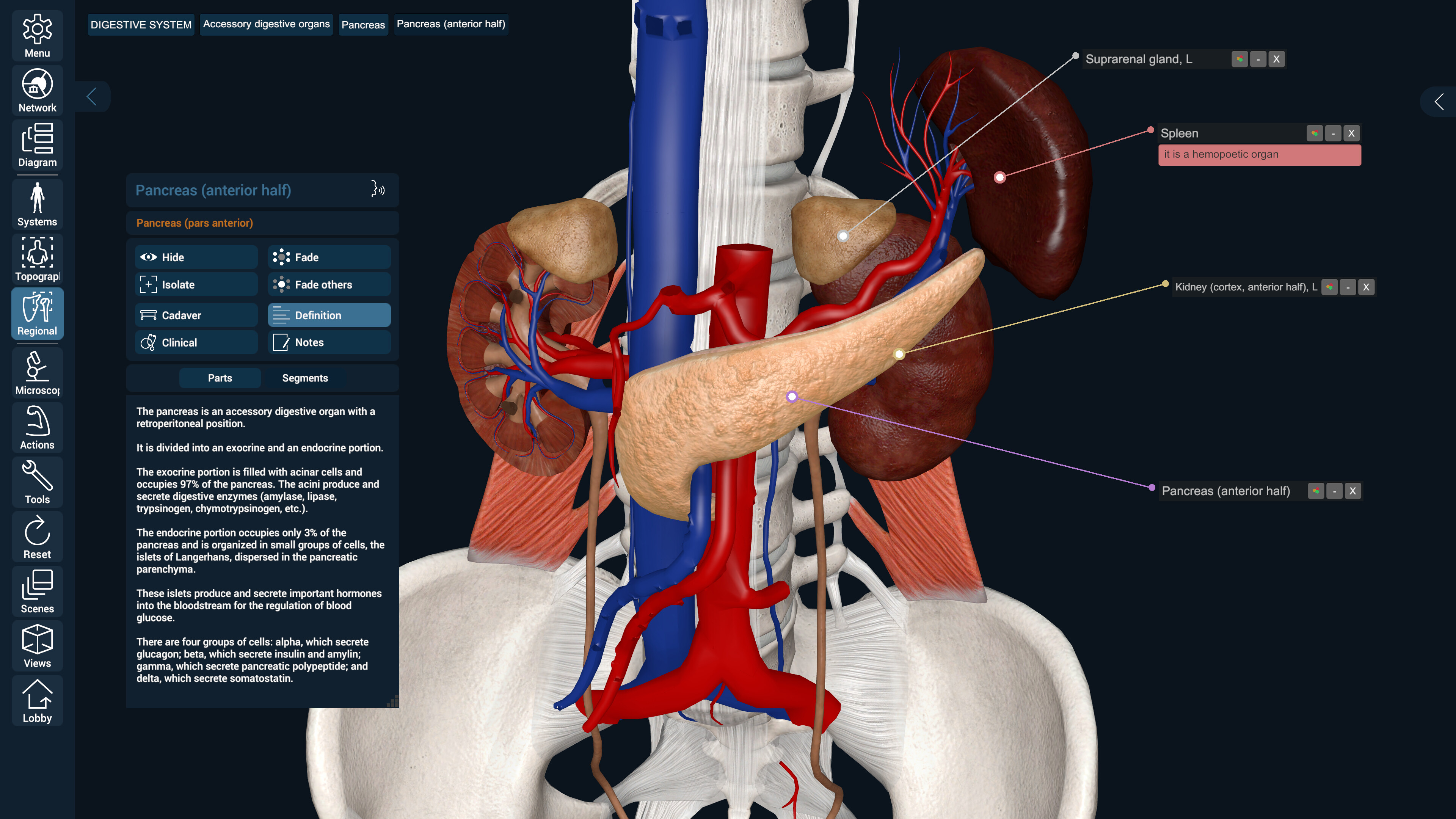3D Organon screenshot 11