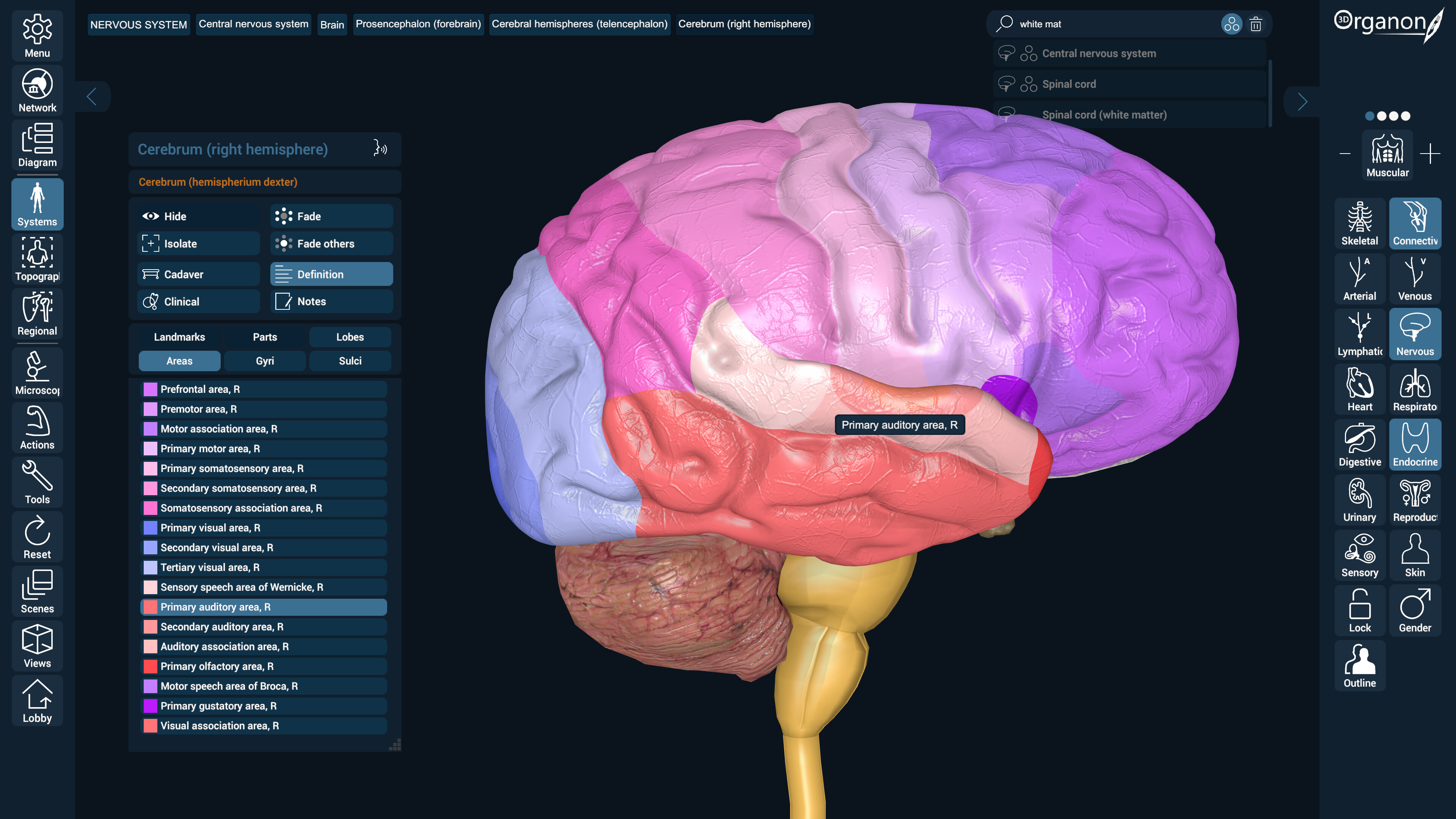 3D Organon screenshot 7