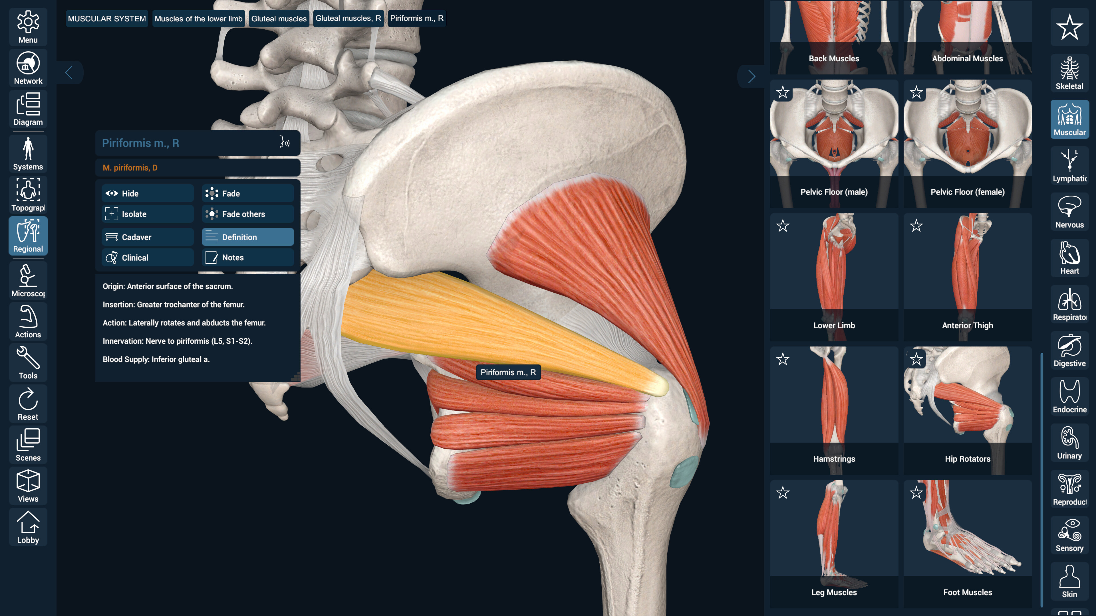 3D Organon screenshot 10