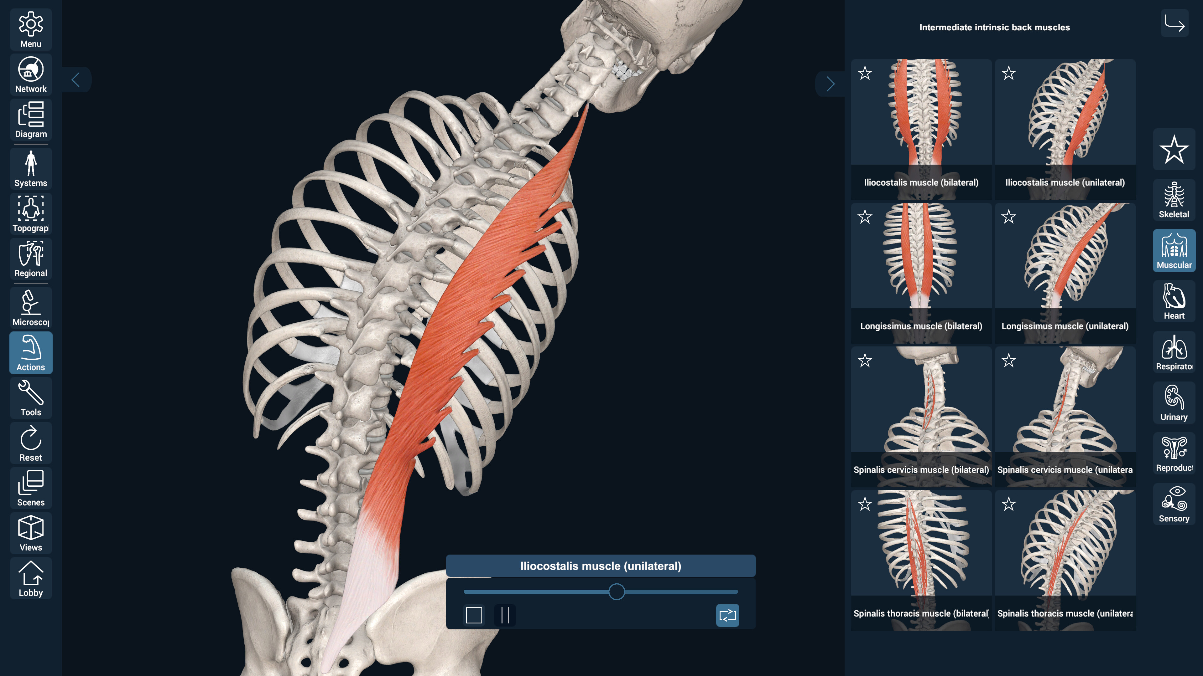 3D Organon screenshot 8