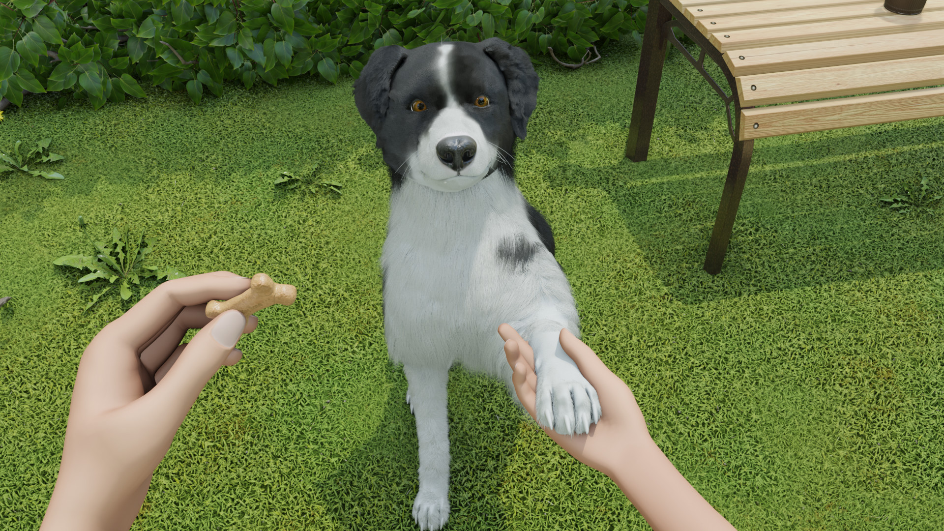 Dog Trainer screenshot 7