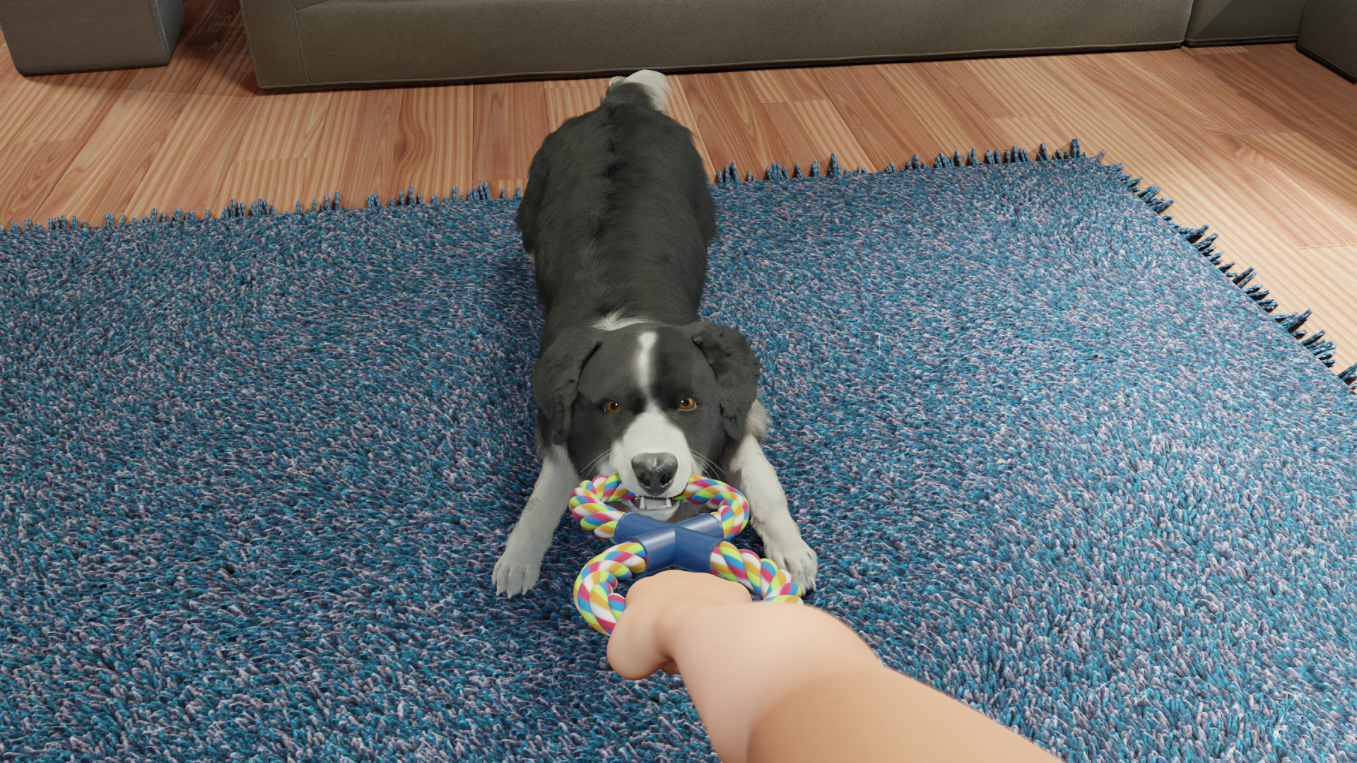 Dog Trainer screenshot 6