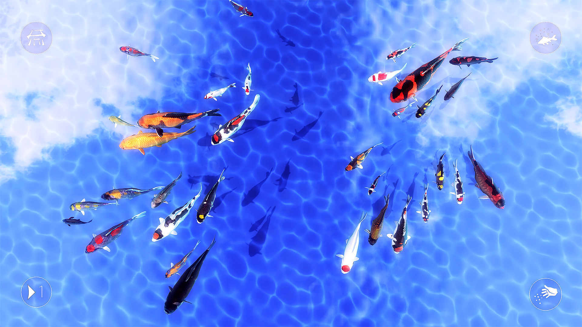My Koi screenshot 6
