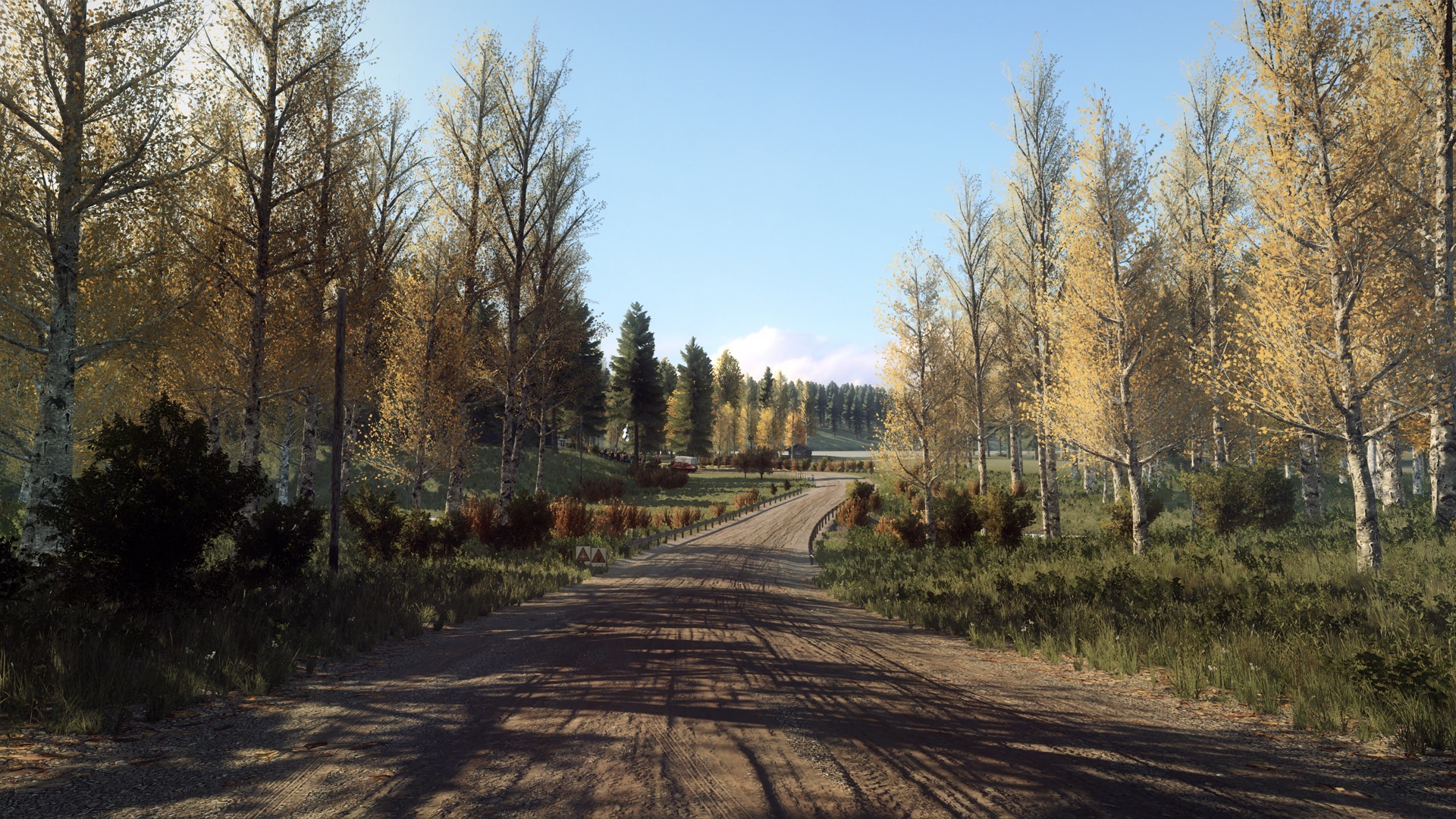 DiRT Rally 2.0 - Finland (Rally Location) screenshot 4