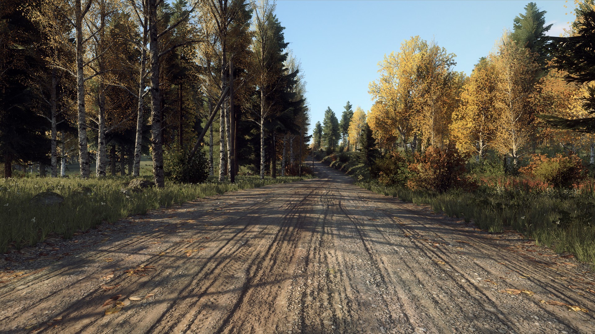 DiRT Rally 2.0 - Finland (Rally Location) screenshot 3