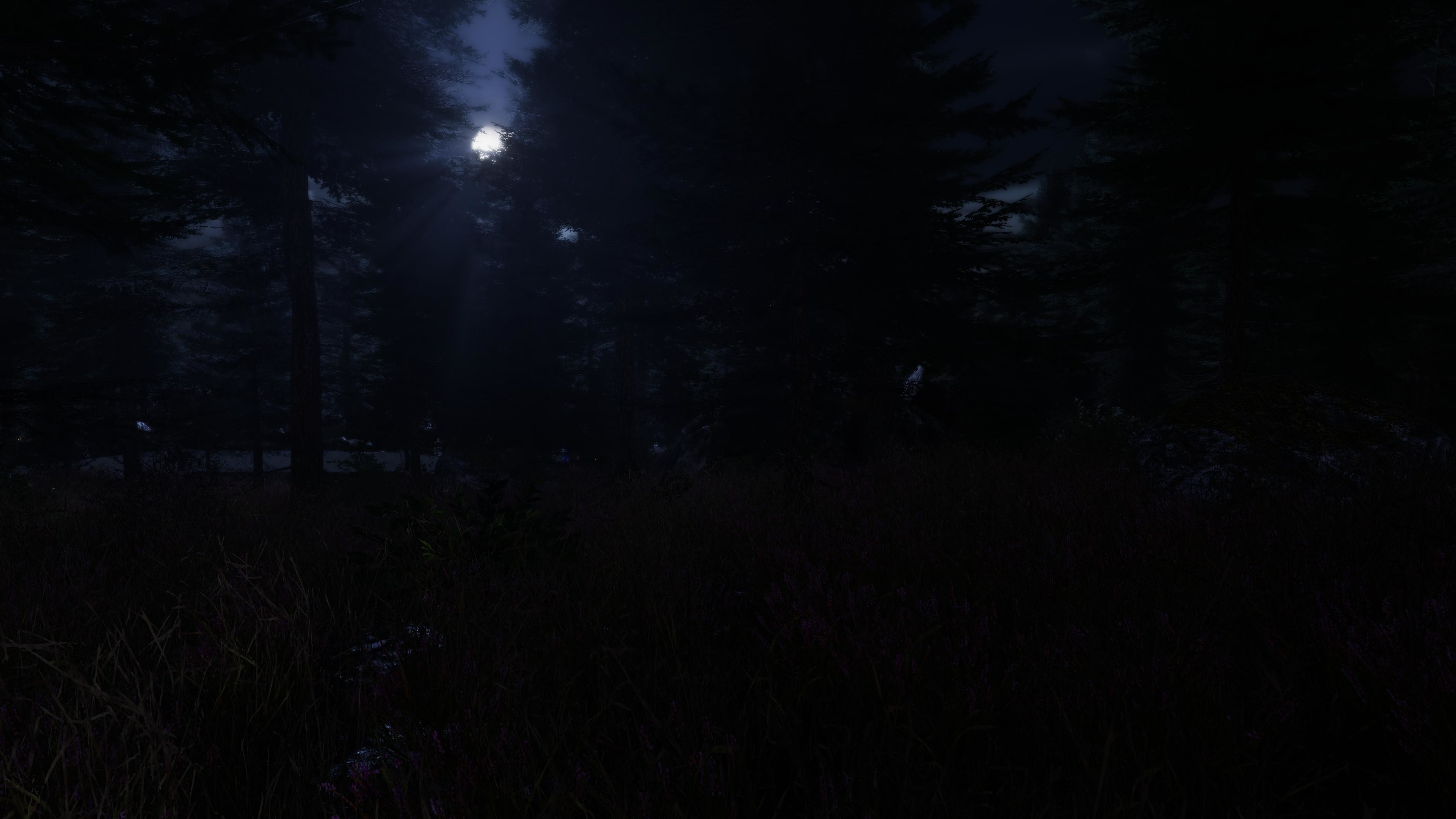 The Forgotten screenshot 12