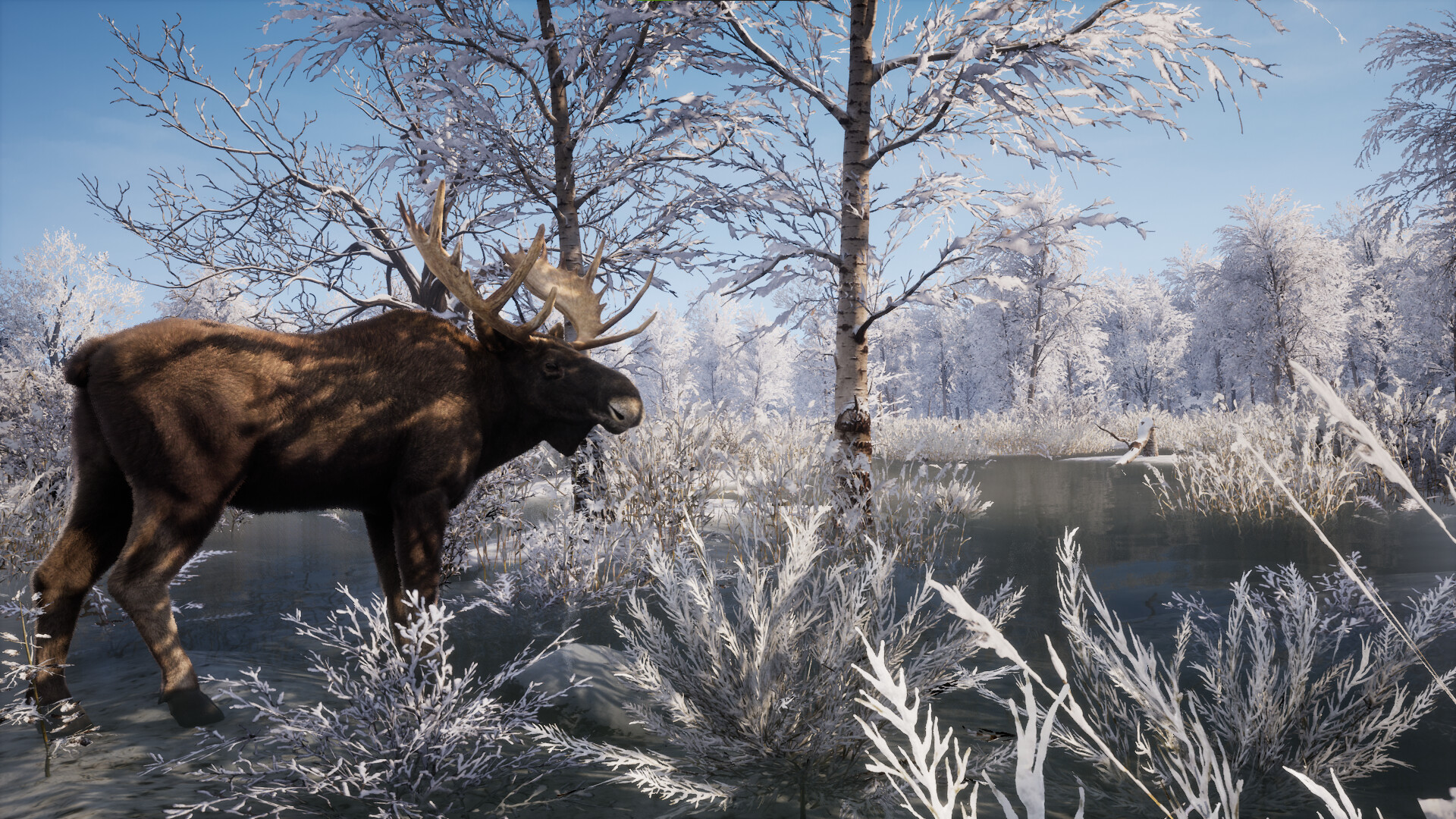 中世纪王朝 (Medieval Dynasty)