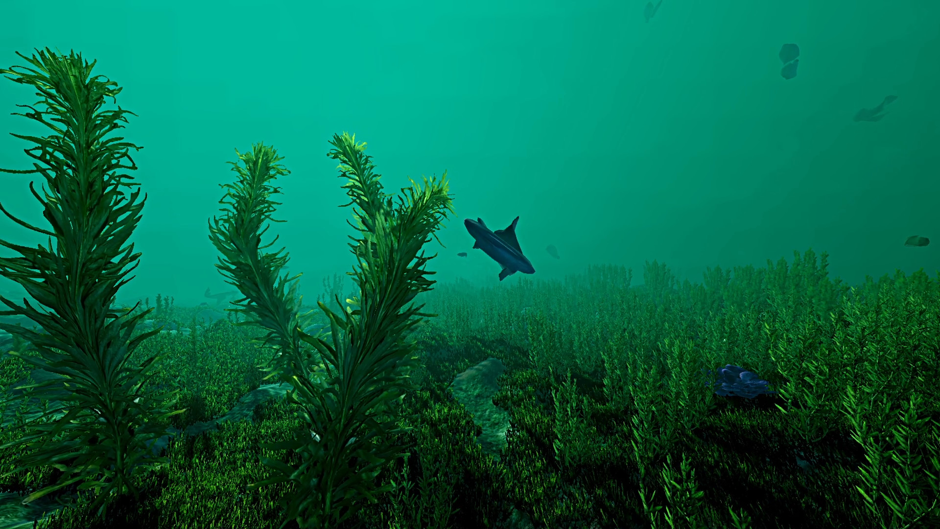 Ecosystem screenshot 11
