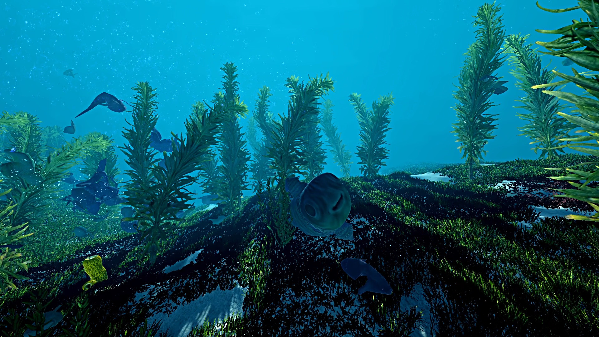 Ecosystem screenshot 13