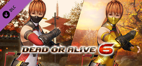 DOA6 Morphing Ninja Costume - Kasumi