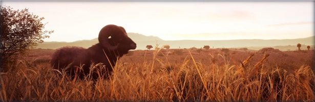 Hunting Simulator 2 thumbnail